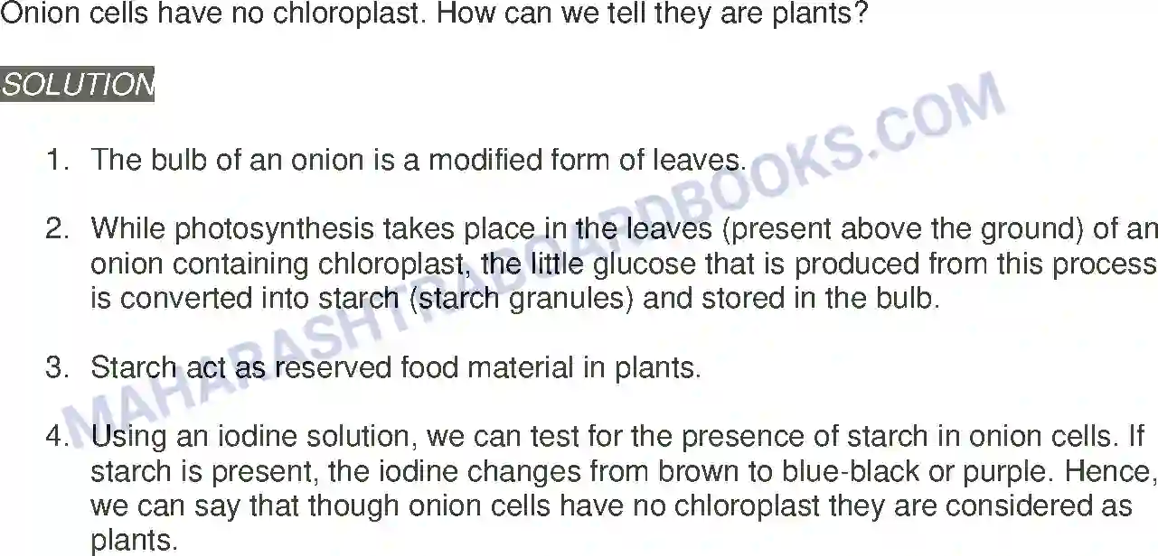 Maharashtra Board Solution Class-11 Biology Cell Structure and Organization Image 13