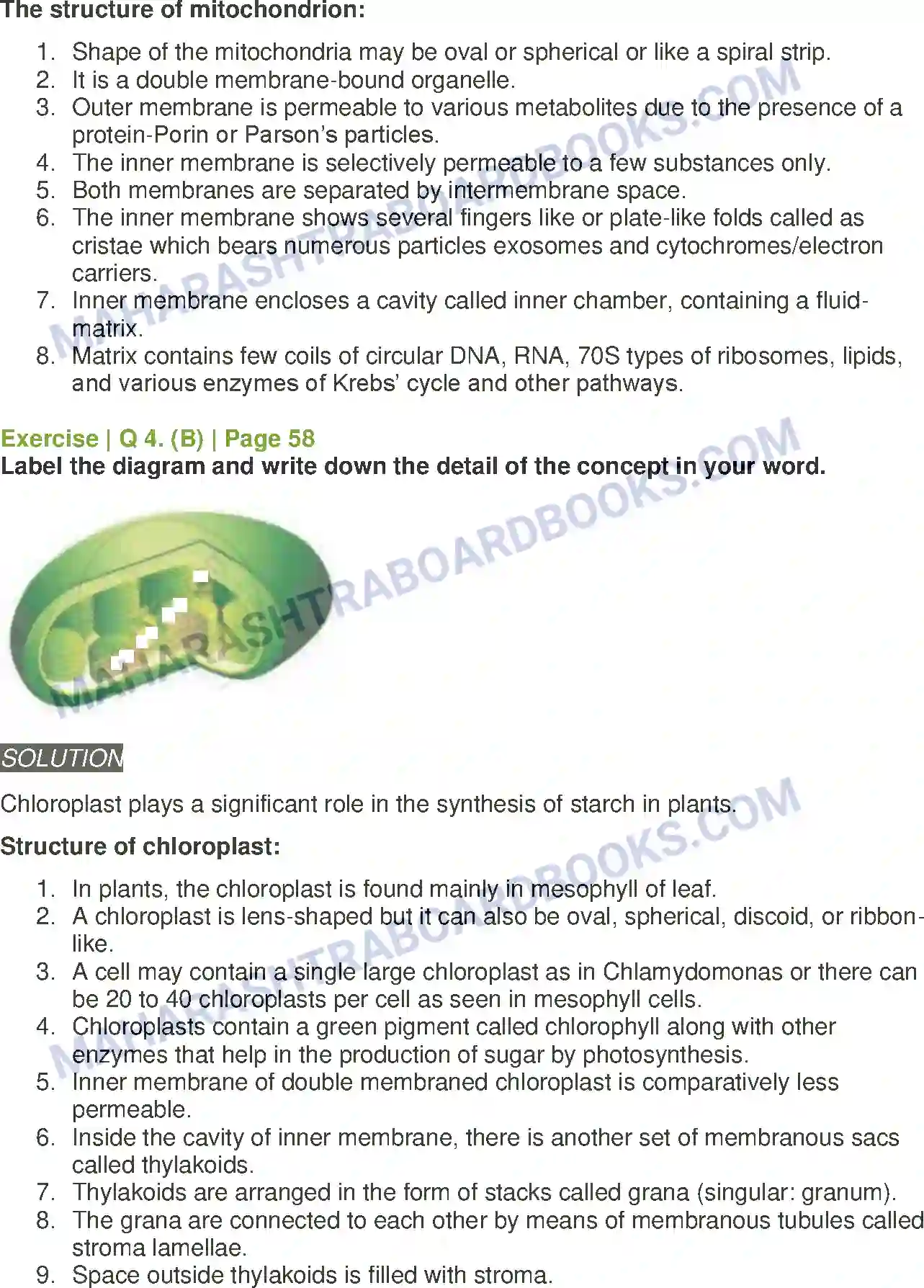 Maharashtra Board Solution Class-11 Biology Cell Structure and Organization Image 7