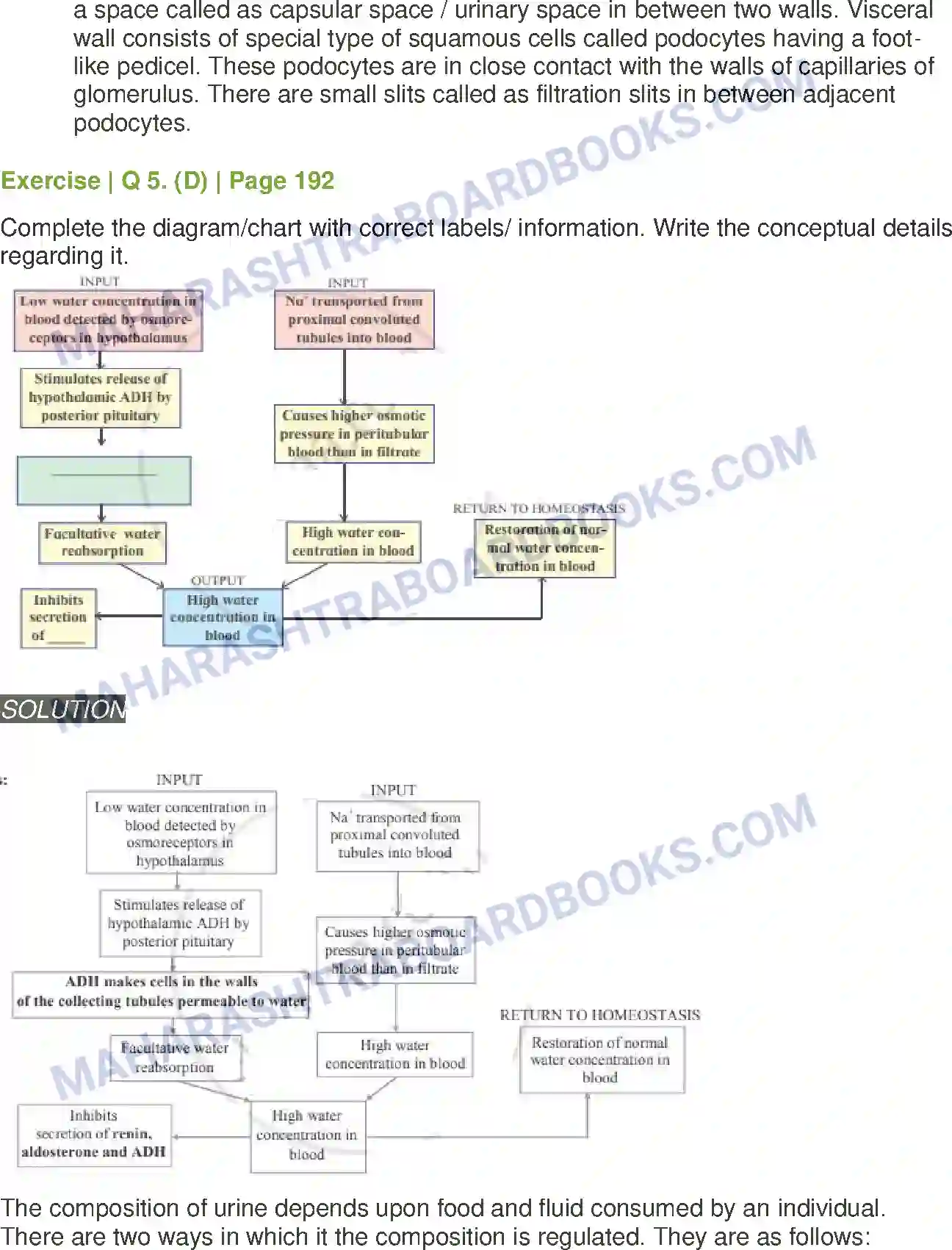 Maharashtra Board Solution Class-11 Biology Excretion and Osmoregulation Image 13