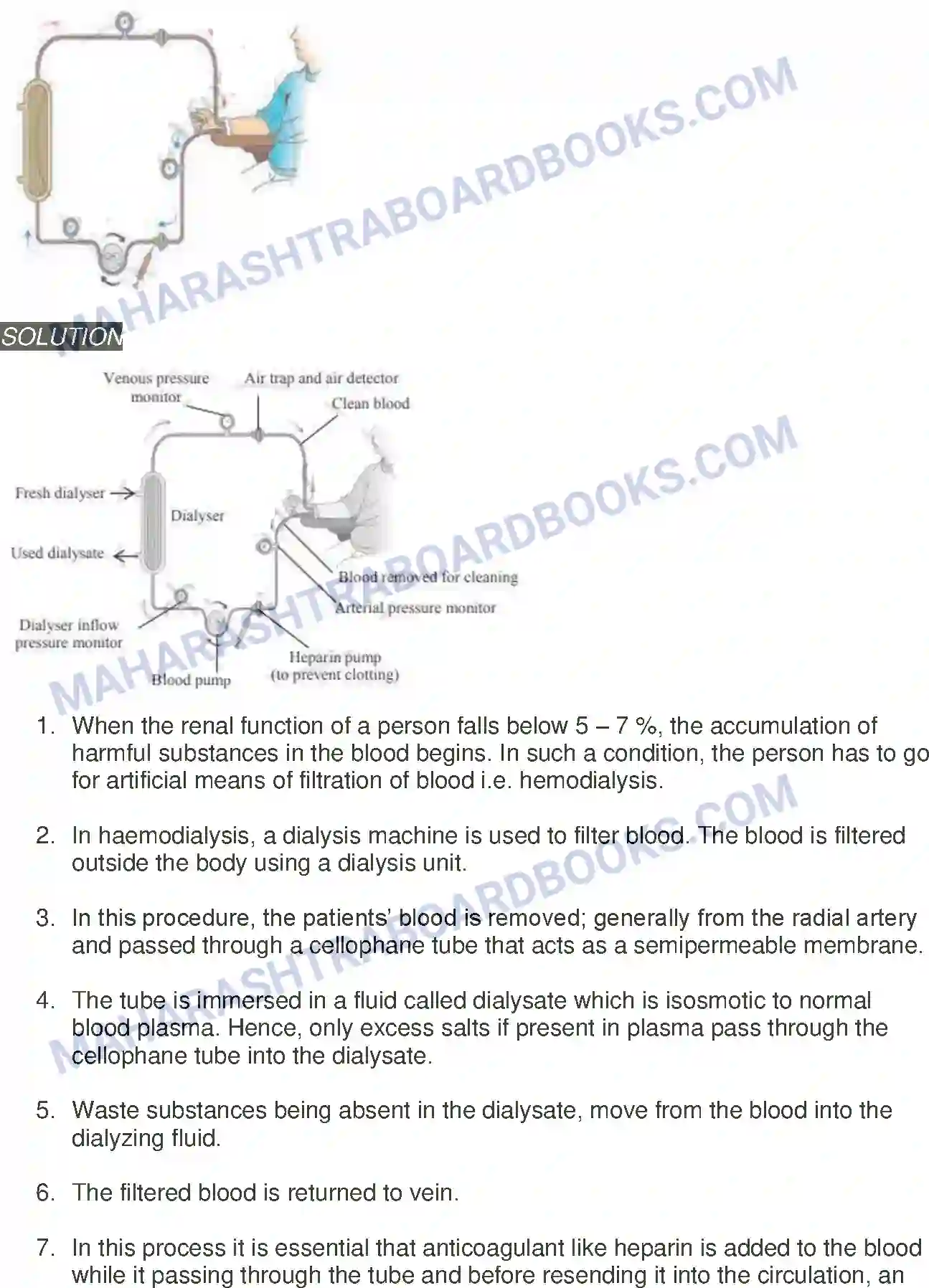 Maharashtra Board Solution Class-11 Biology Excretion and Osmoregulation Image 15