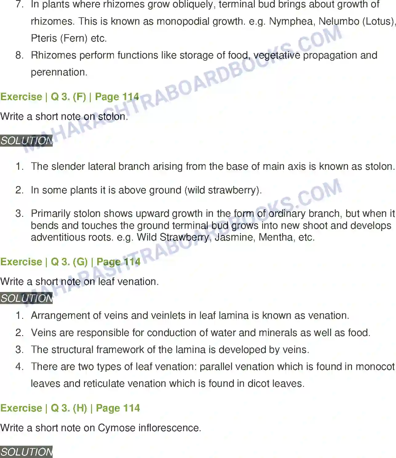 Maharashtra Board Solution class-11 Biology Morphology of Flowering Plants Image 5