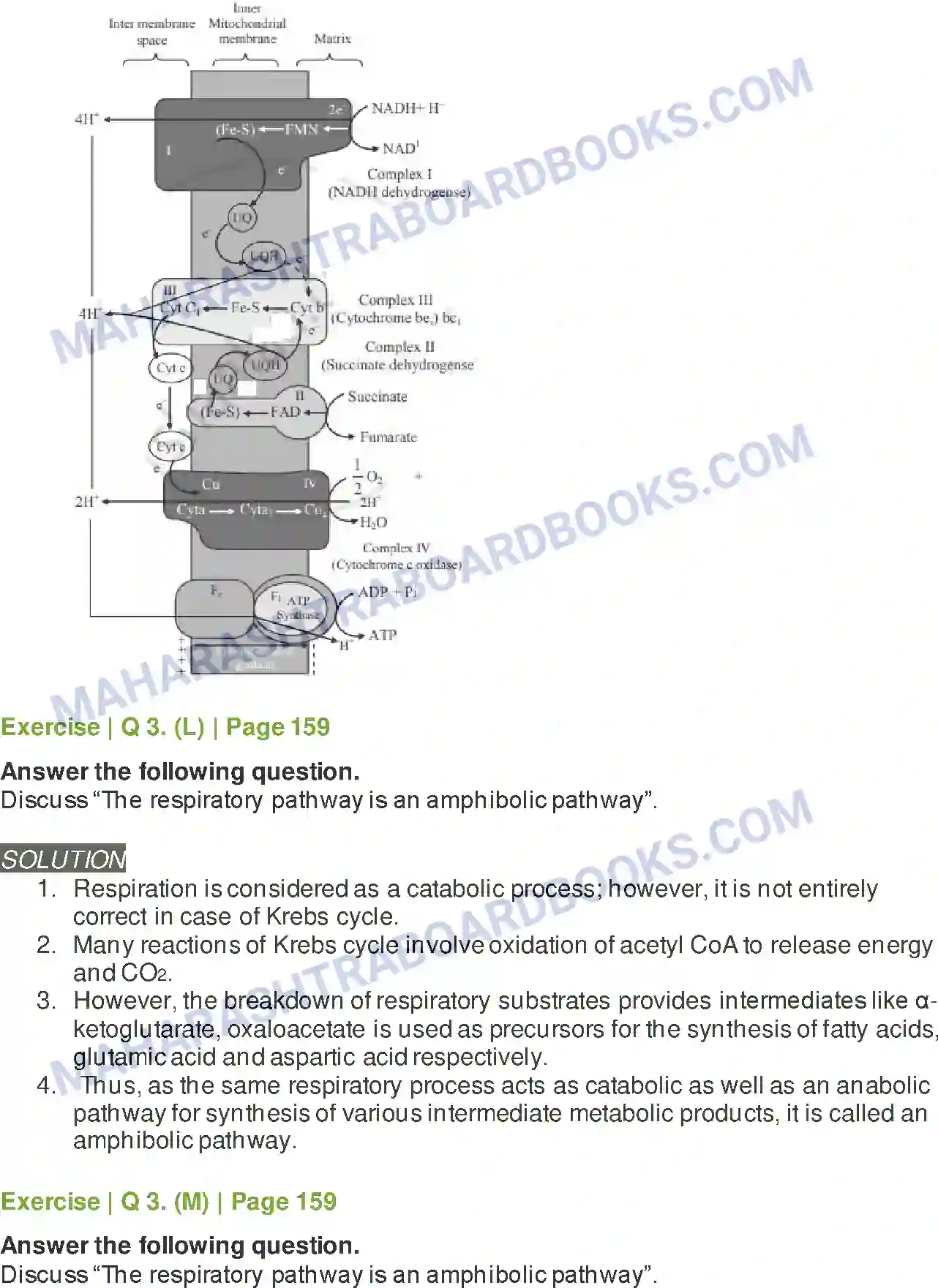 Maharashtra Board Solution Class-11 Biology Respiration and Energy Transfer Image 11
