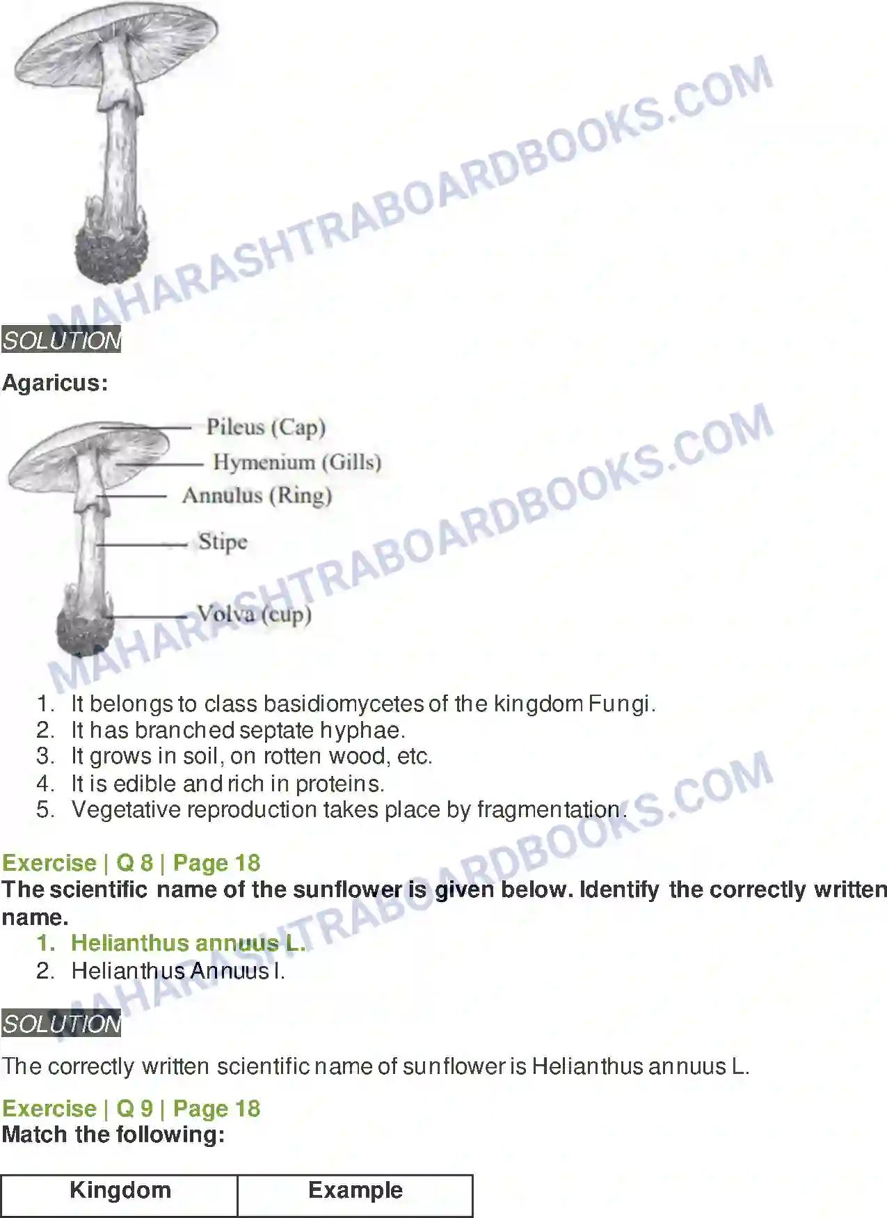 Maharashtra Board Solution class-11 Biology Systematics of Living Organisms Image 12