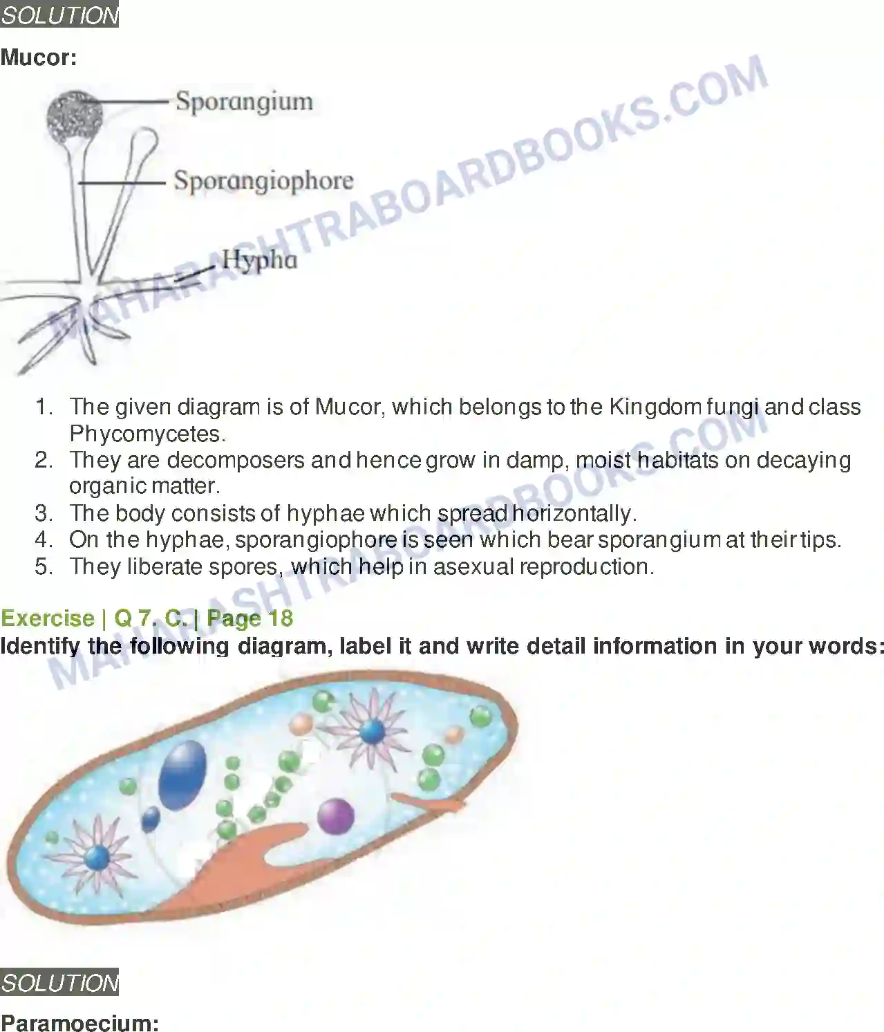 Maharashtra Board Solution class-11 Biology Systematics of Living Organisms Image 9