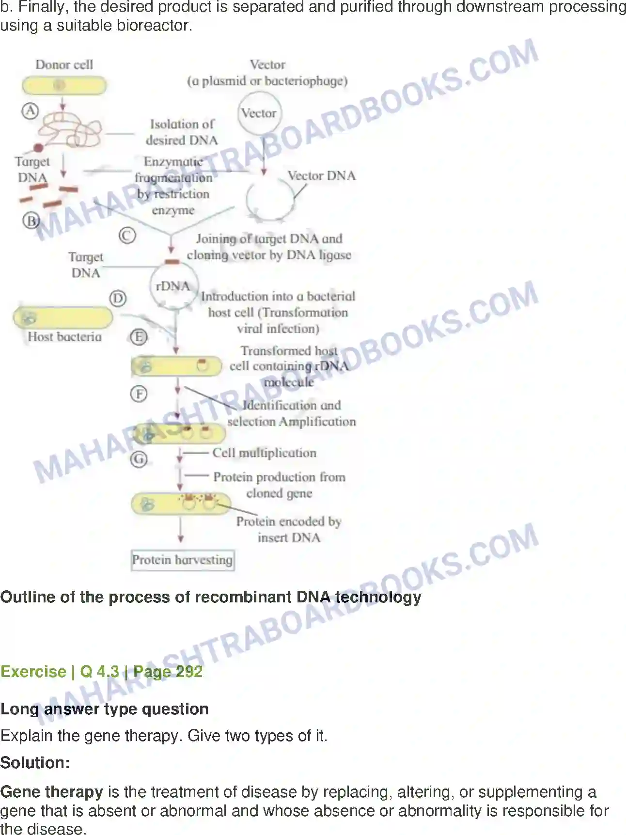 Maharashtra Board Solution Class-12 Biology Biotechnology Image 12