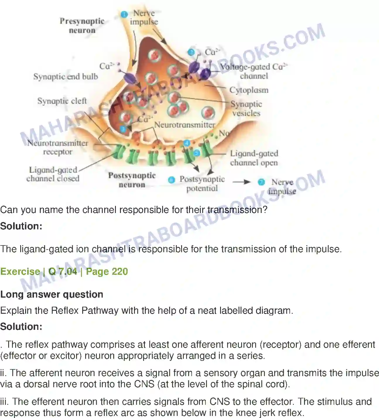 Maharashtra Board Solution Class-12 Biology Control and Co-ordination Image 22