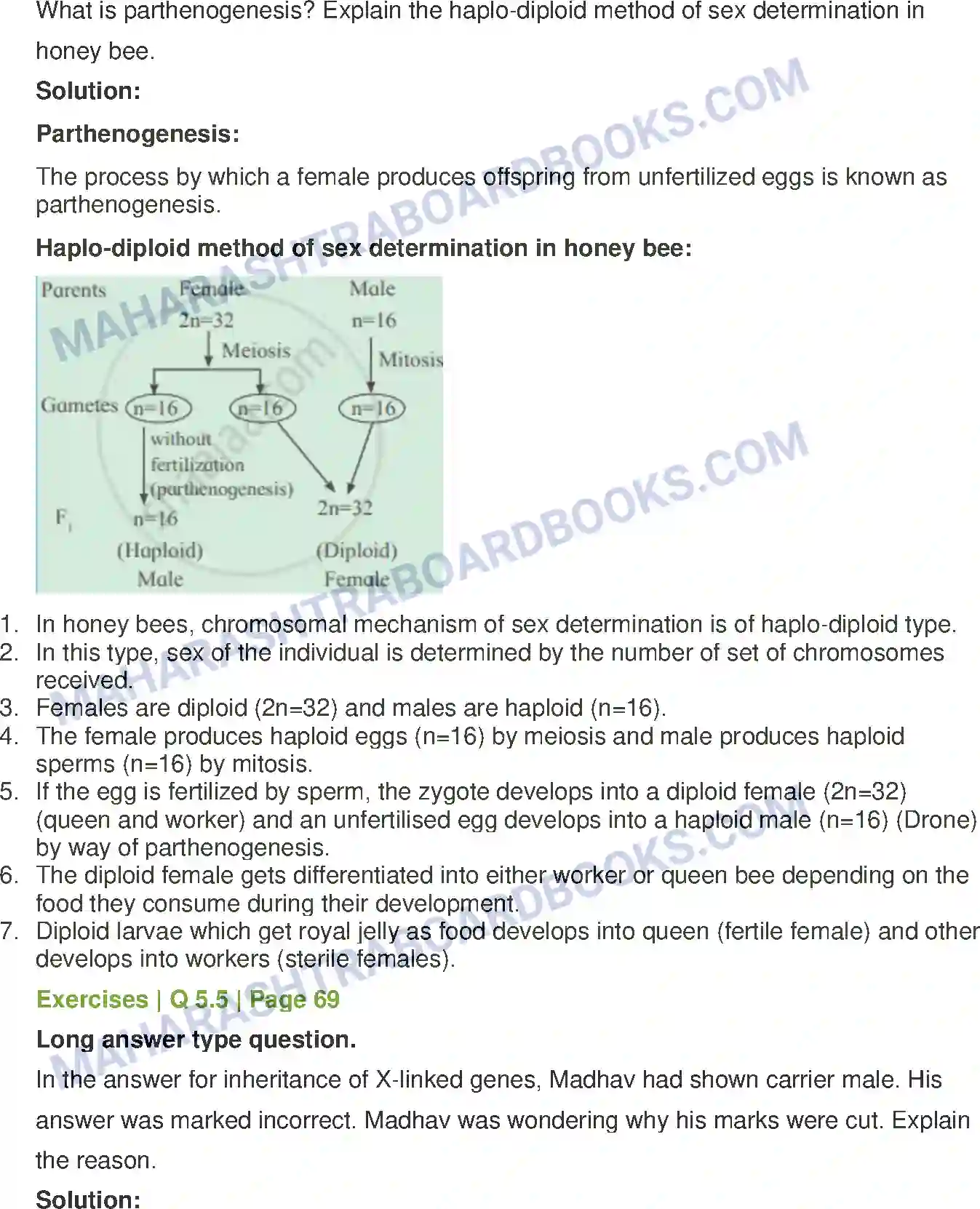 Maharashtra Board Solution Class-12 Biology Inheritance and Variation Image 15