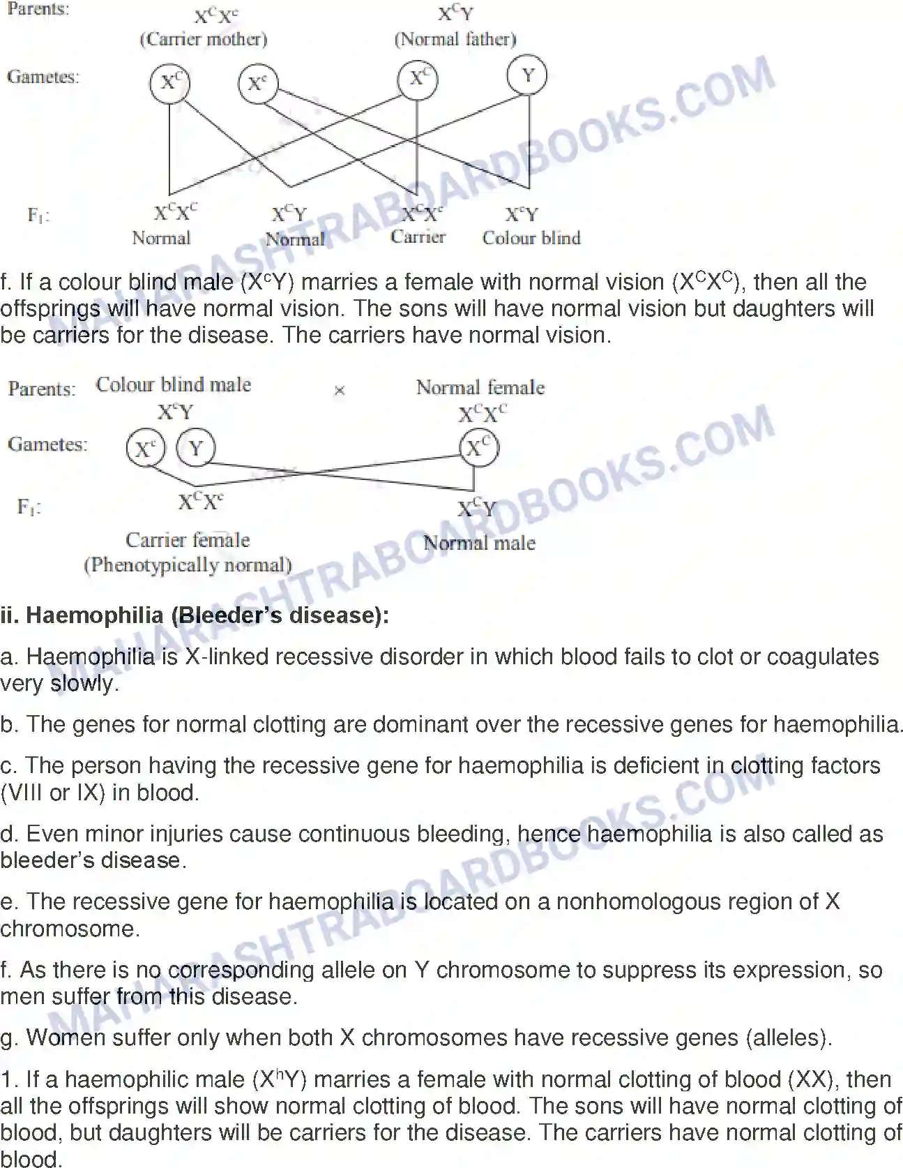 Maharashtra Board Solution Class-12 Biology Inheritance and Variation Image 18