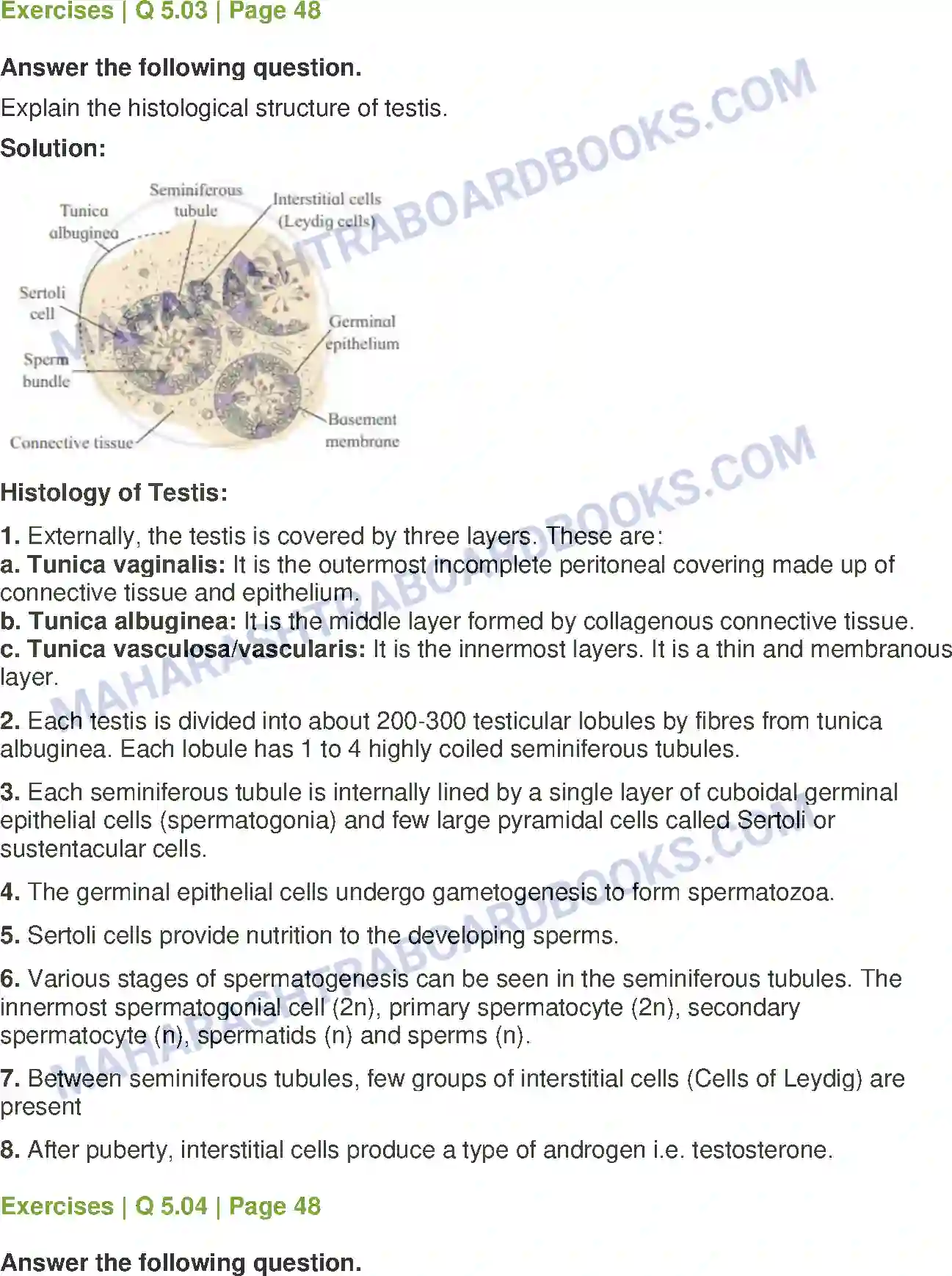 Maharashtra Board Solution Class-12 Biology Reproduction in Lower and Higher Animals Image 14