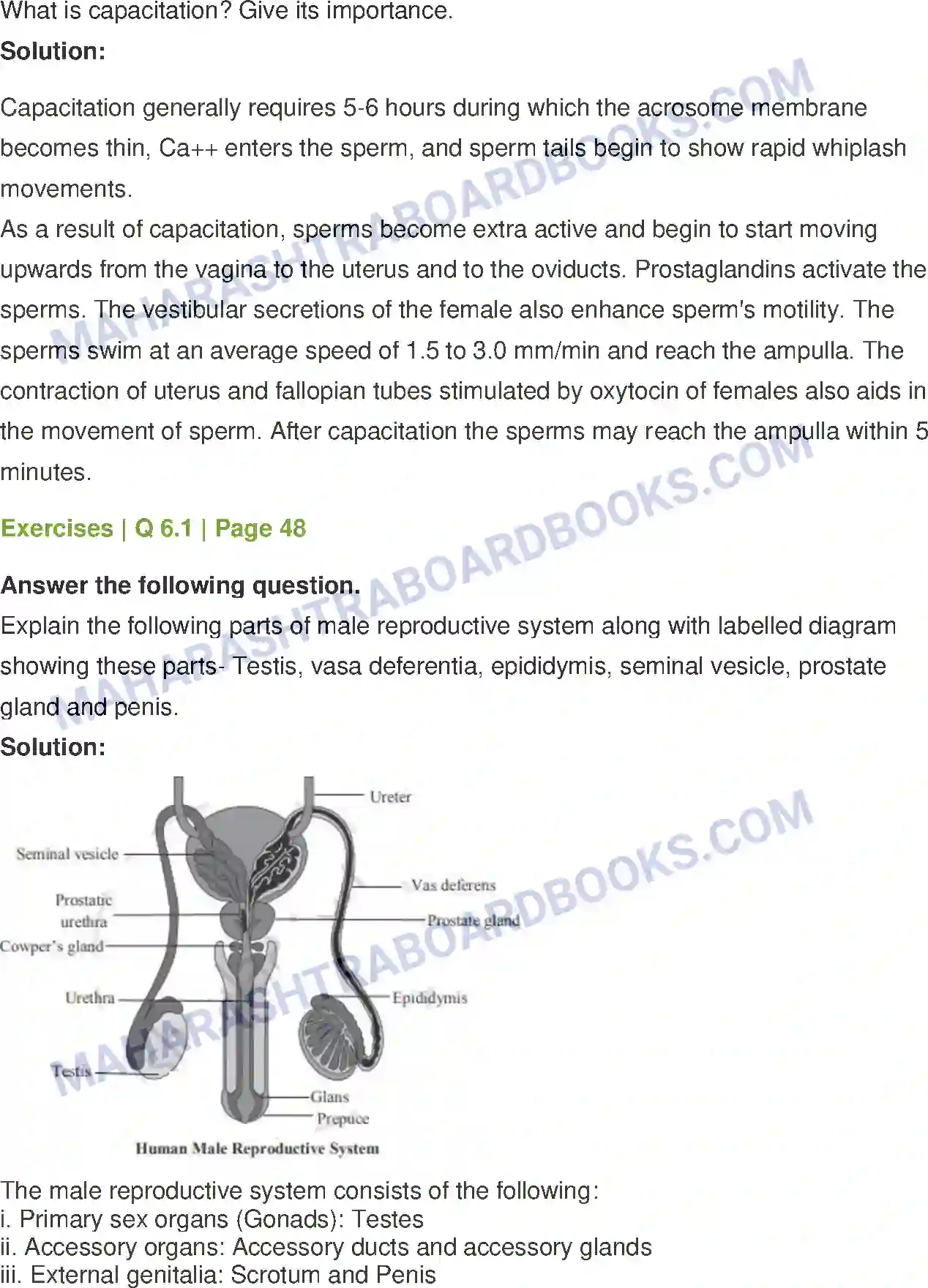 Maharashtra Board Solution Class-12 Biology Reproduction in Lower and Higher Animals Image 21