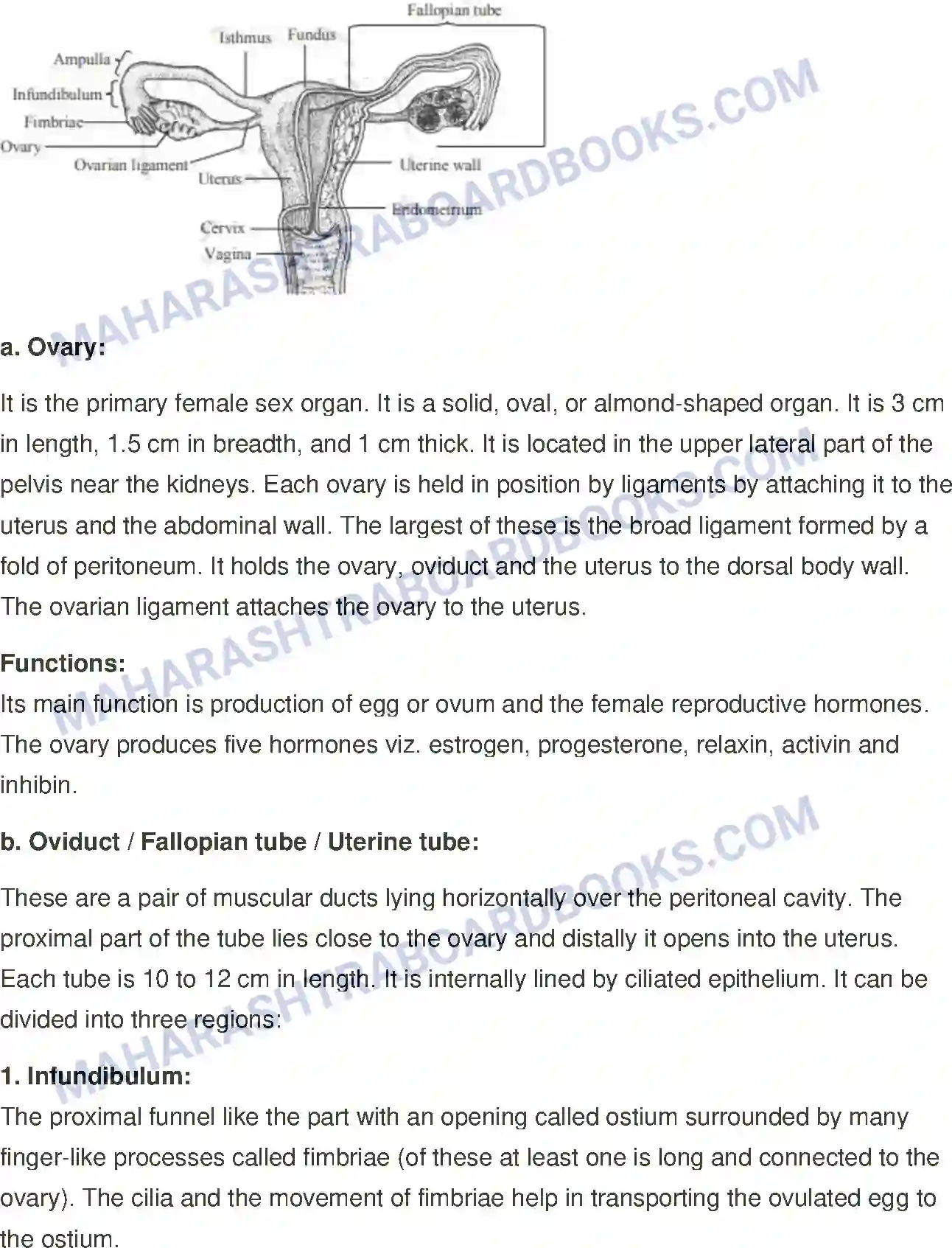 Maharashtra Board Solution Class-12 Biology Reproduction in Lower and Higher Animals Image 24