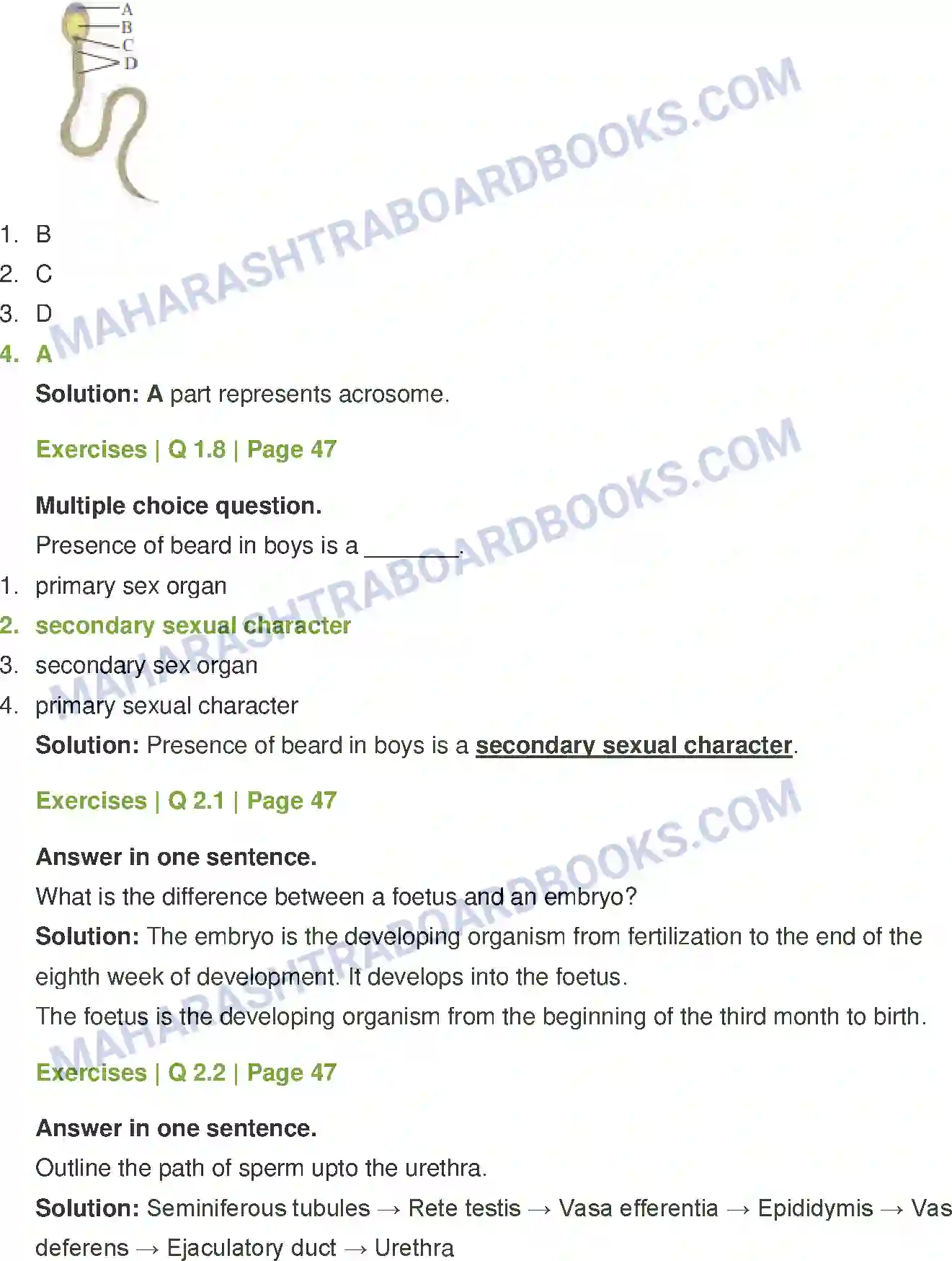 Maharashtra Board Solution Class-12 Biology Reproduction in Lower and Higher Animals Image 3