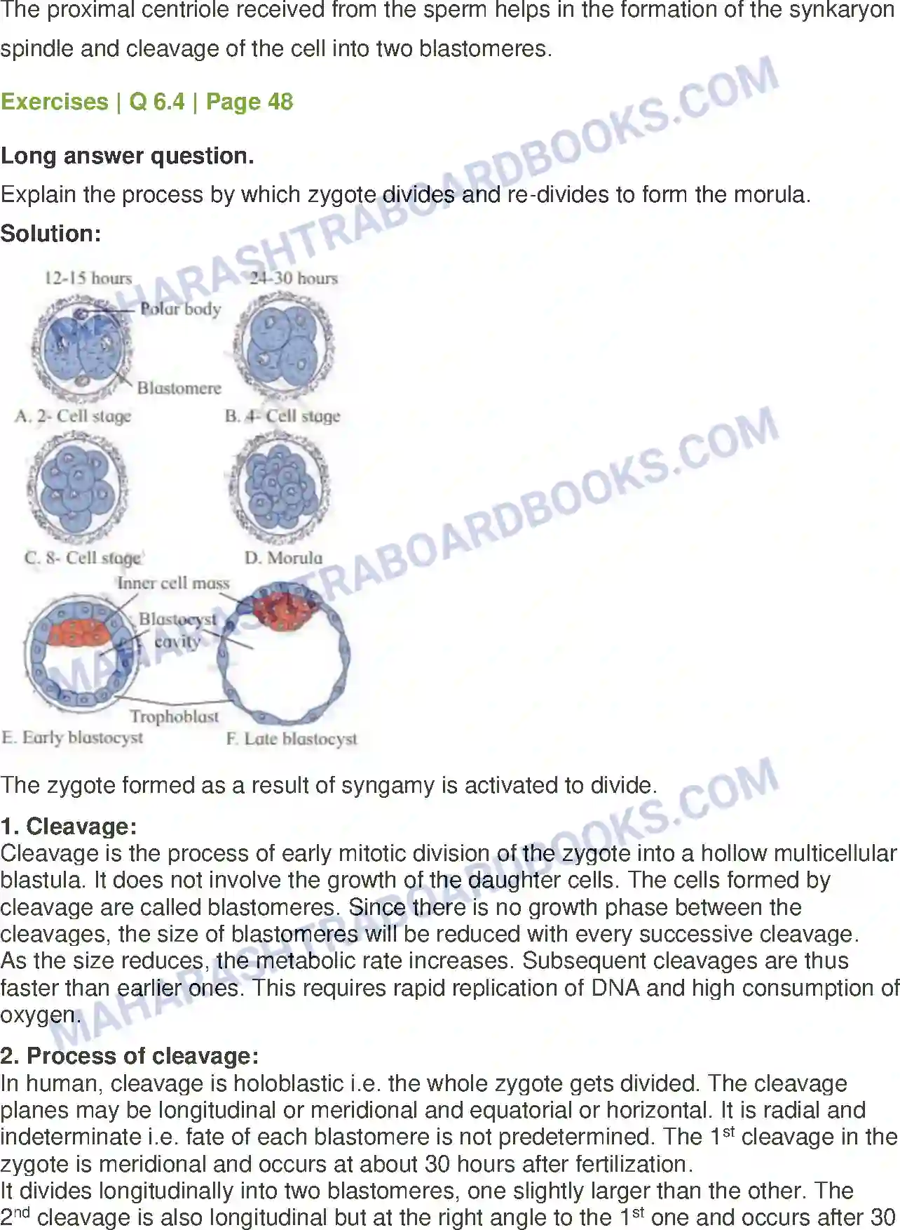 Maharashtra Board Solution Class-12 Biology Reproduction in Lower and Higher Animals Image 30