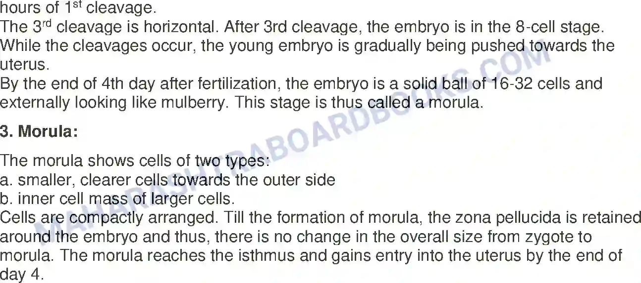 Maharashtra Board Solution Class-12 Biology Reproduction in Lower and Higher Animals Image 31