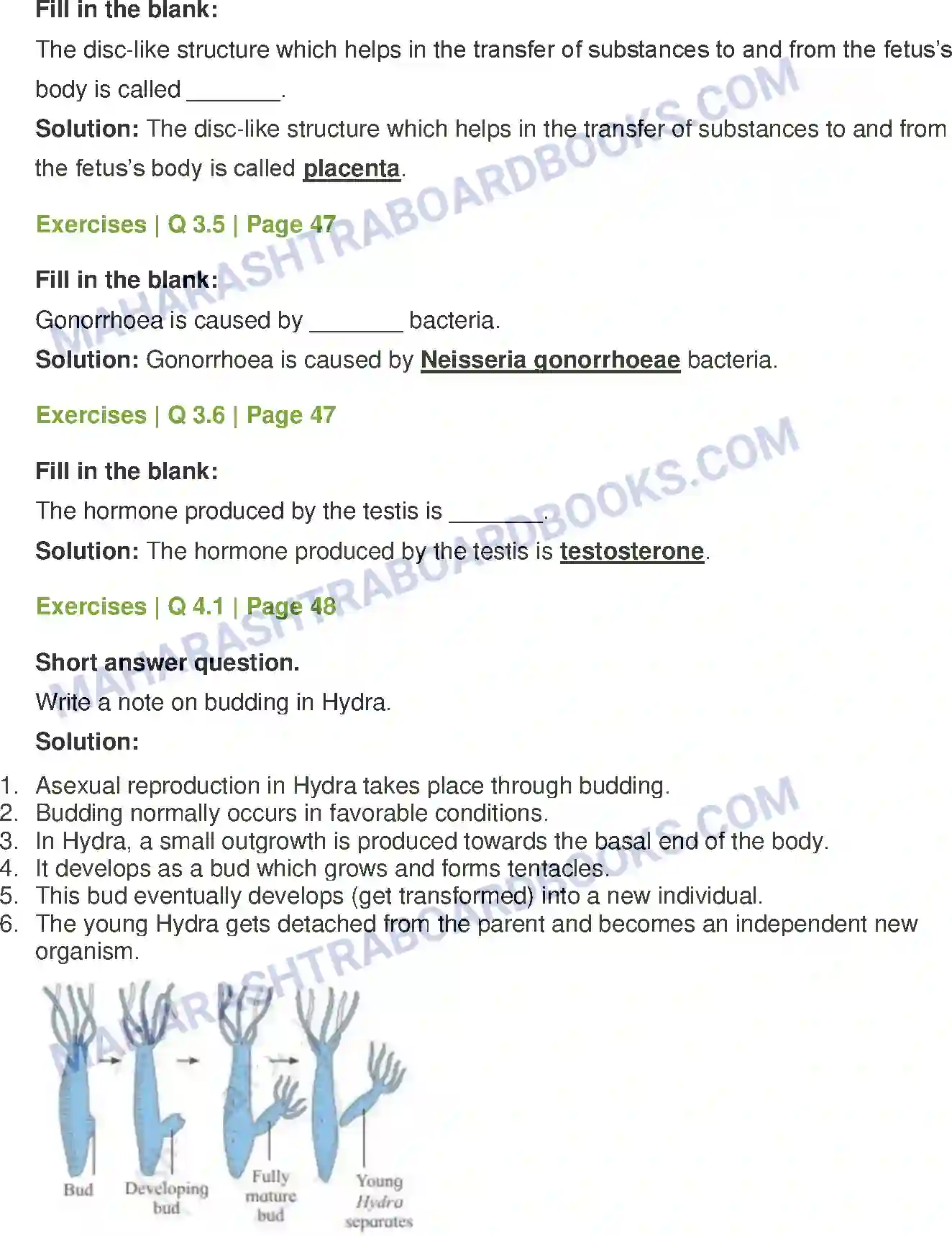 Maharashtra Board Solution Class-12 Biology Reproduction in Lower and Higher Animals Image 7