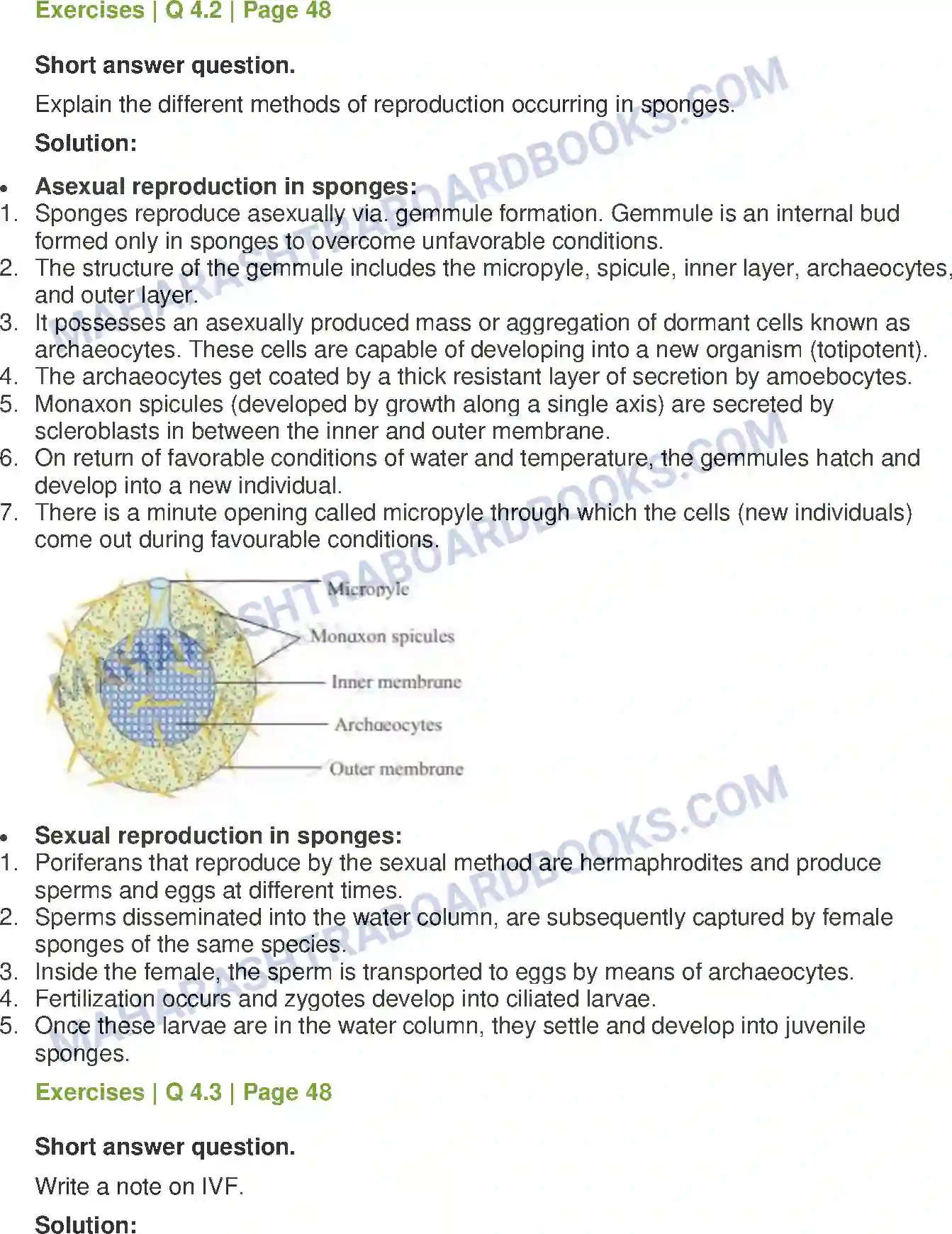 Maharashtra Board Solution Class-12 Biology Reproduction in Lower and Higher Animals Image 8