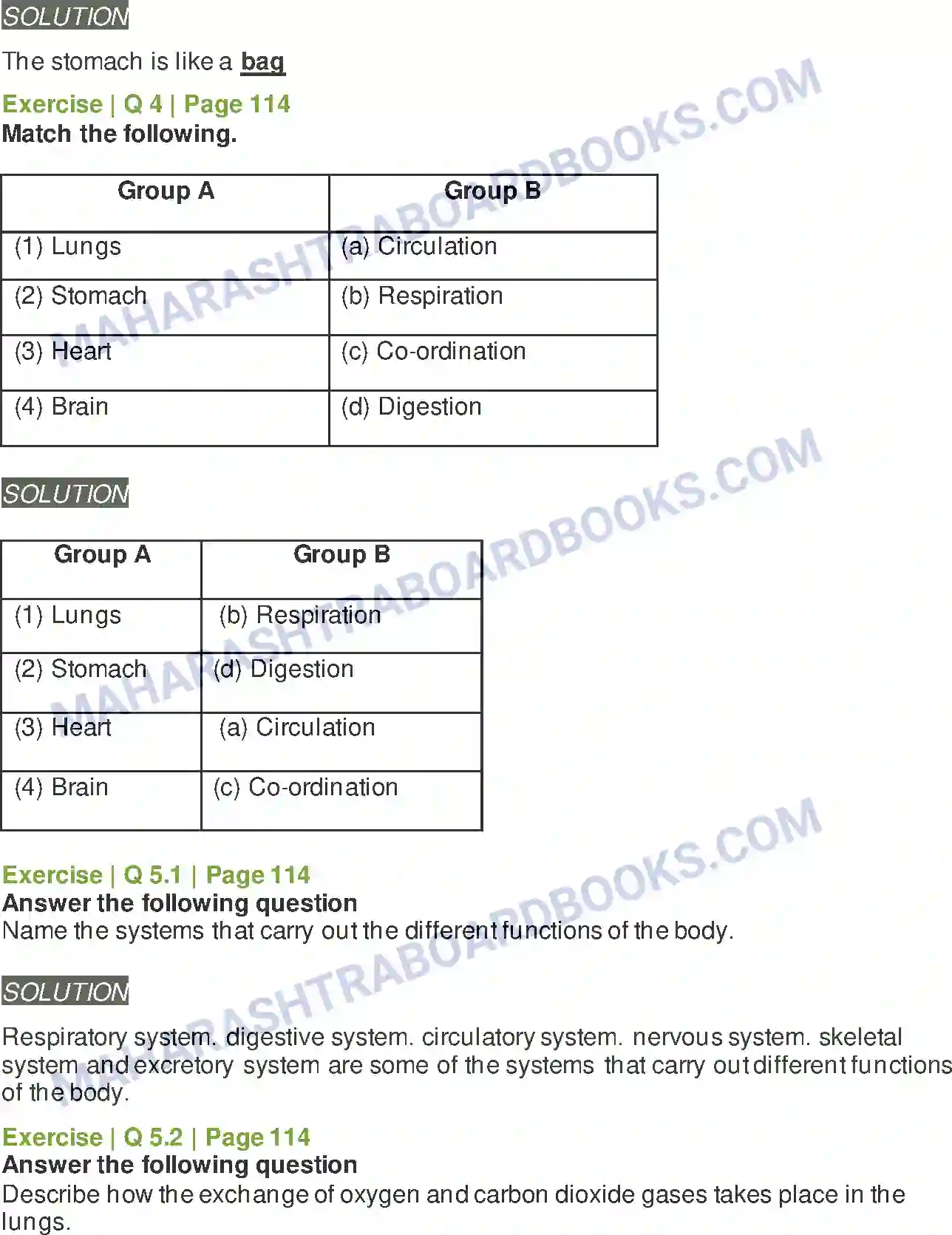 Maharashtra Board Solution Class-5 Environmental+Studies+-+1 Busy at Work - Our Internal Organs Image 4