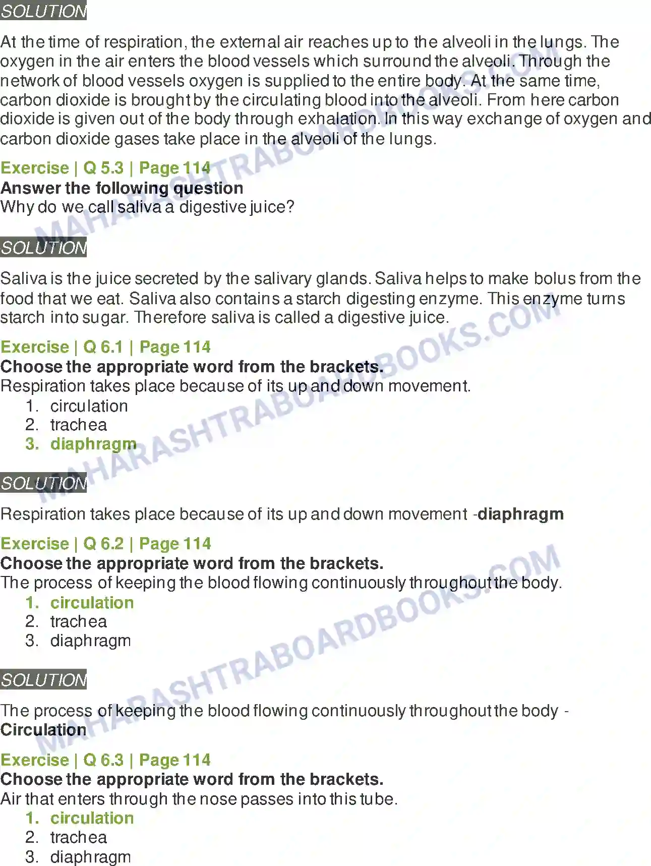 Maharashtra Board Solution Class-5 Environmental+Studies+-+1 Busy at Work - Our Internal Organs Image 5