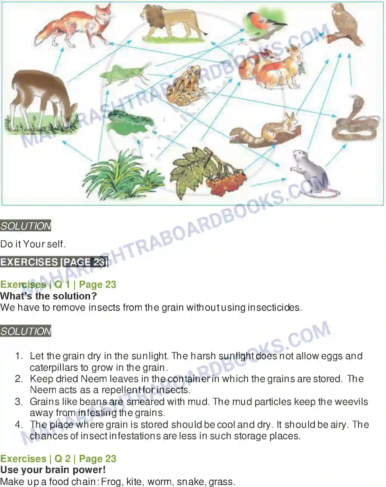 Maharashtra Board Solution Class-5 Environmental+Studies+-+1 Environmental Balance Image 3