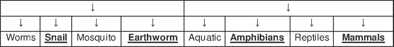 Maharashtra Board Solution Class-5 Environmental+Studies+-+2 Evolution Image 3