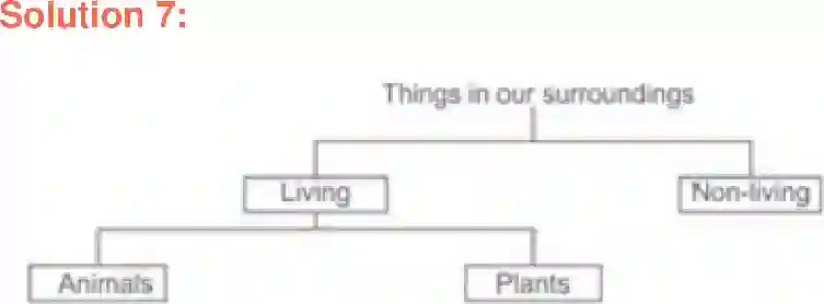 Maharashtra Board Solution Class-6 General+Science Characteristics of Living Things Image 4