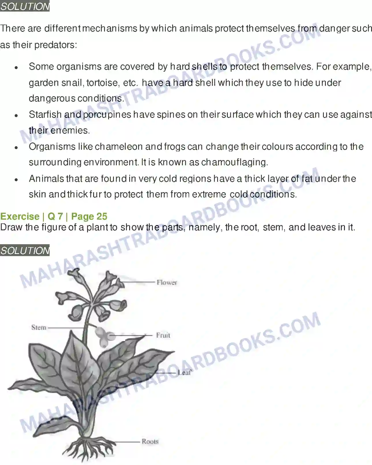 Maharashtra Board Solution Class-6 General+Science Diversity in Living Things & Their Classification Image 9