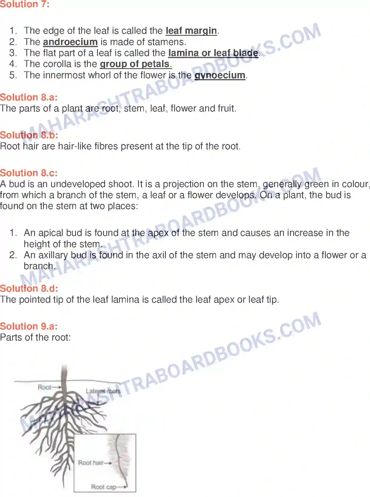 Maharashtra Board Solution Class-6 General+Science Parts of Plants and their Structure Image 3