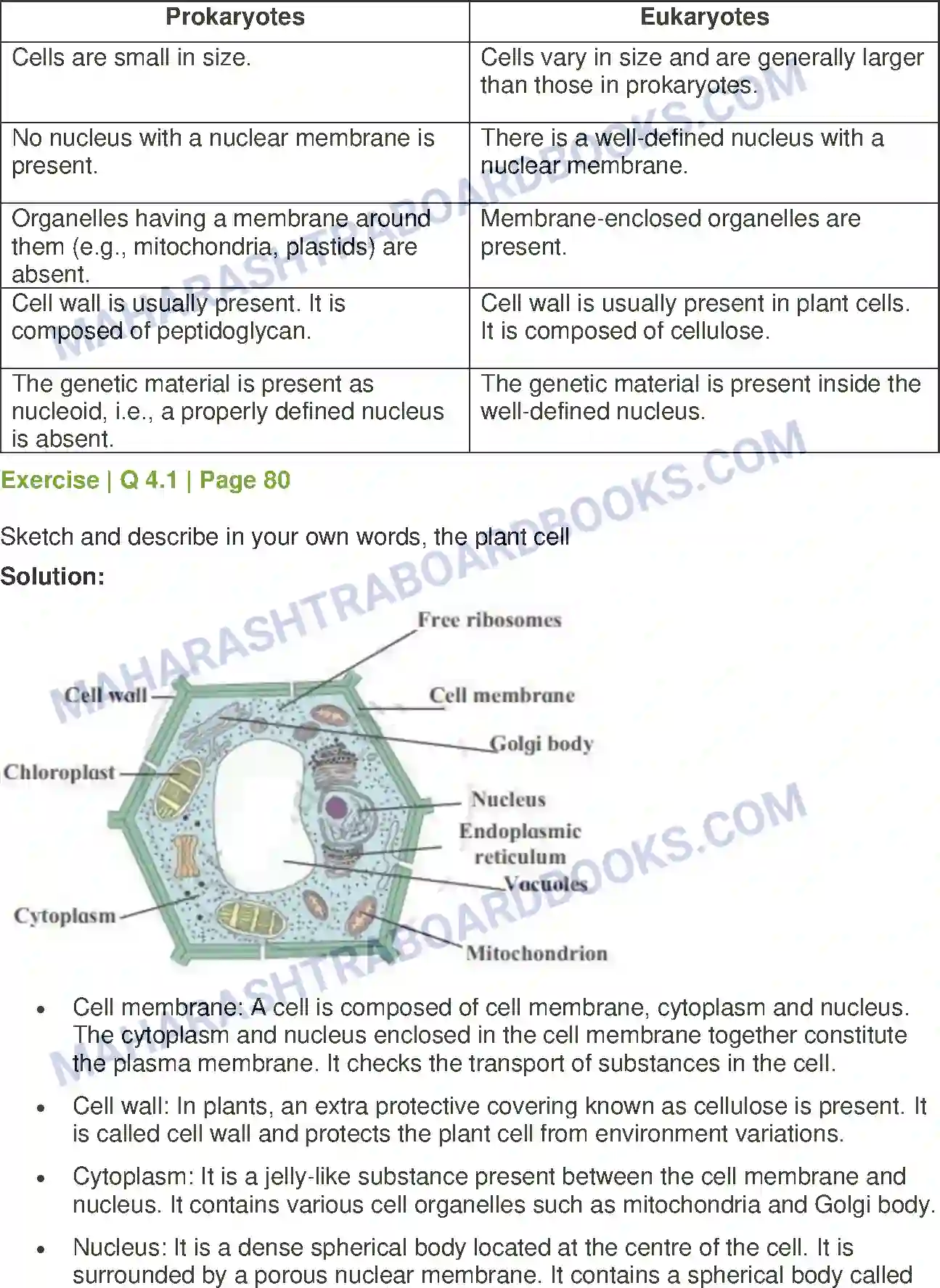 Maharashtra Board Solution Class-7 General+Science Cell Structure and Micro-organisms Image 4