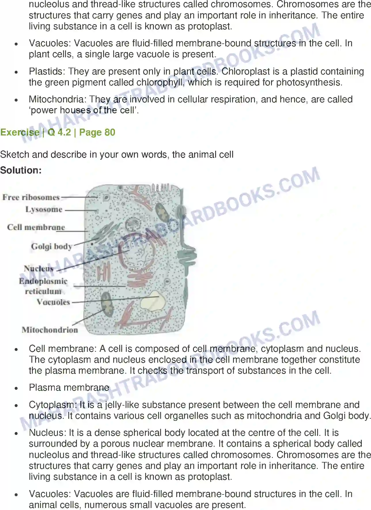 Maharashtra Board Solution Class-7 General+Science Cell Structure and Micro-organisms Image 5