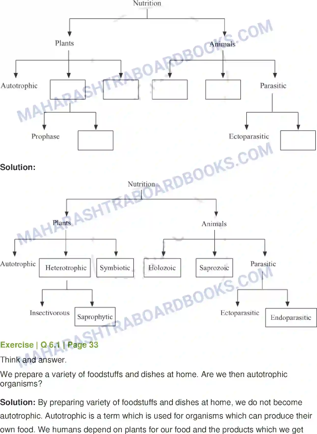 Maharashtra Board Solution Class-7 General Science Nutrition in Living Organisms Image 8