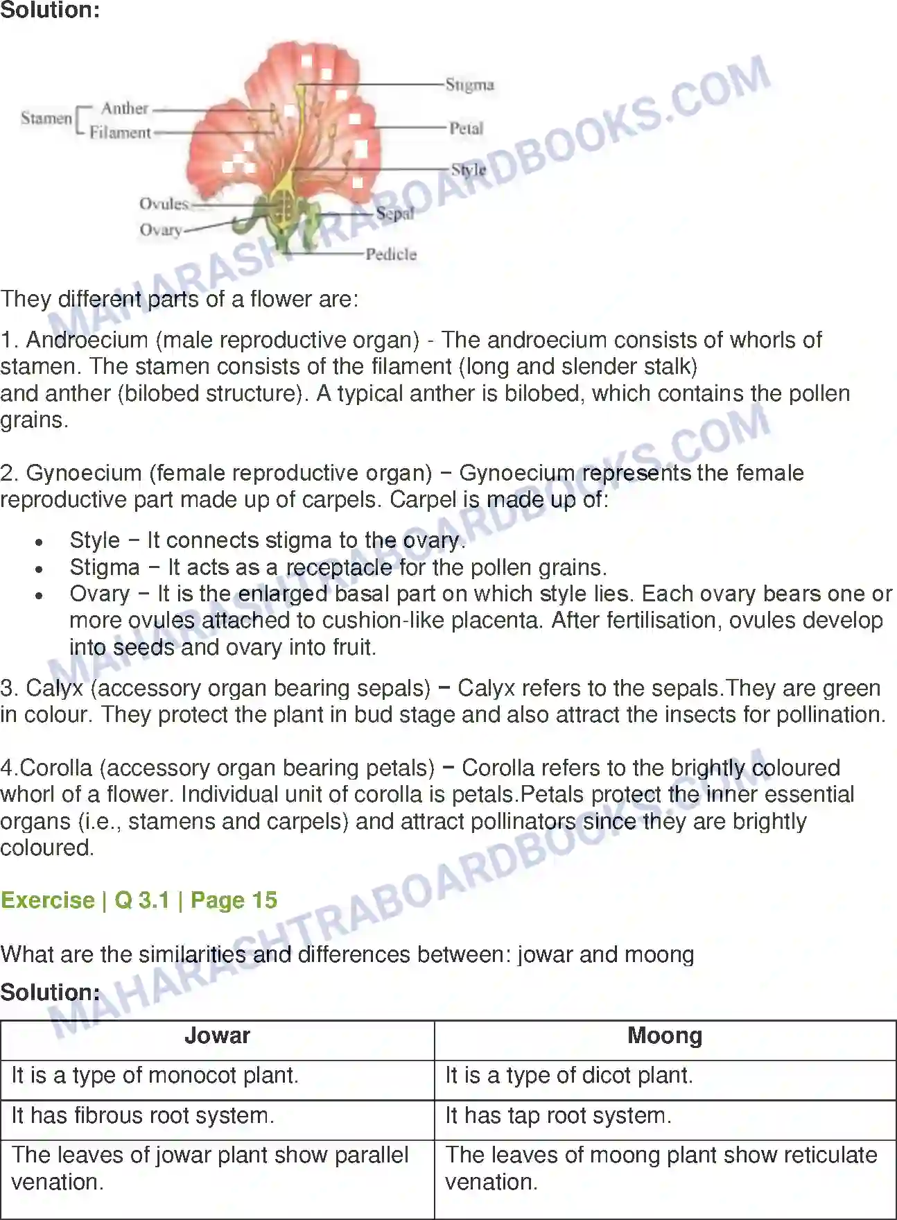 Maharashtra Board Solution Class-7 General+Science Plants Structure and Function Image 2