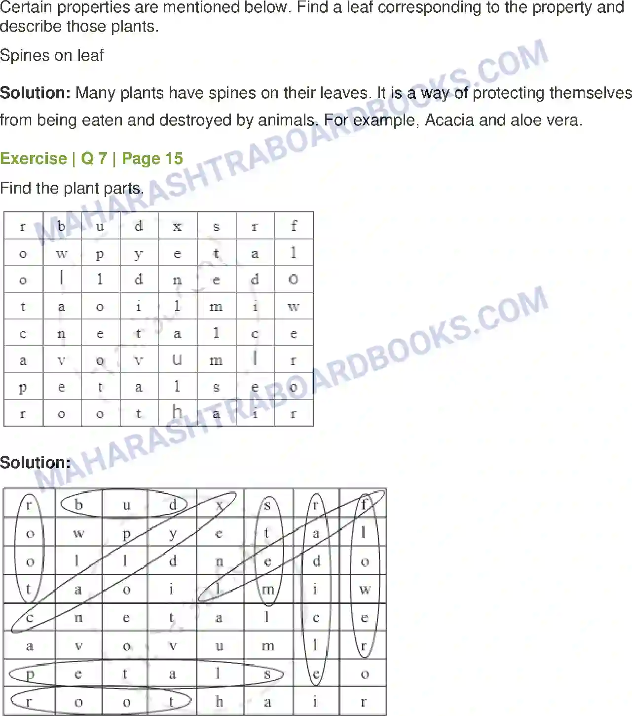 Maharashtra Board Solution Class-7 General+Science Plants Structure and Function Image 6