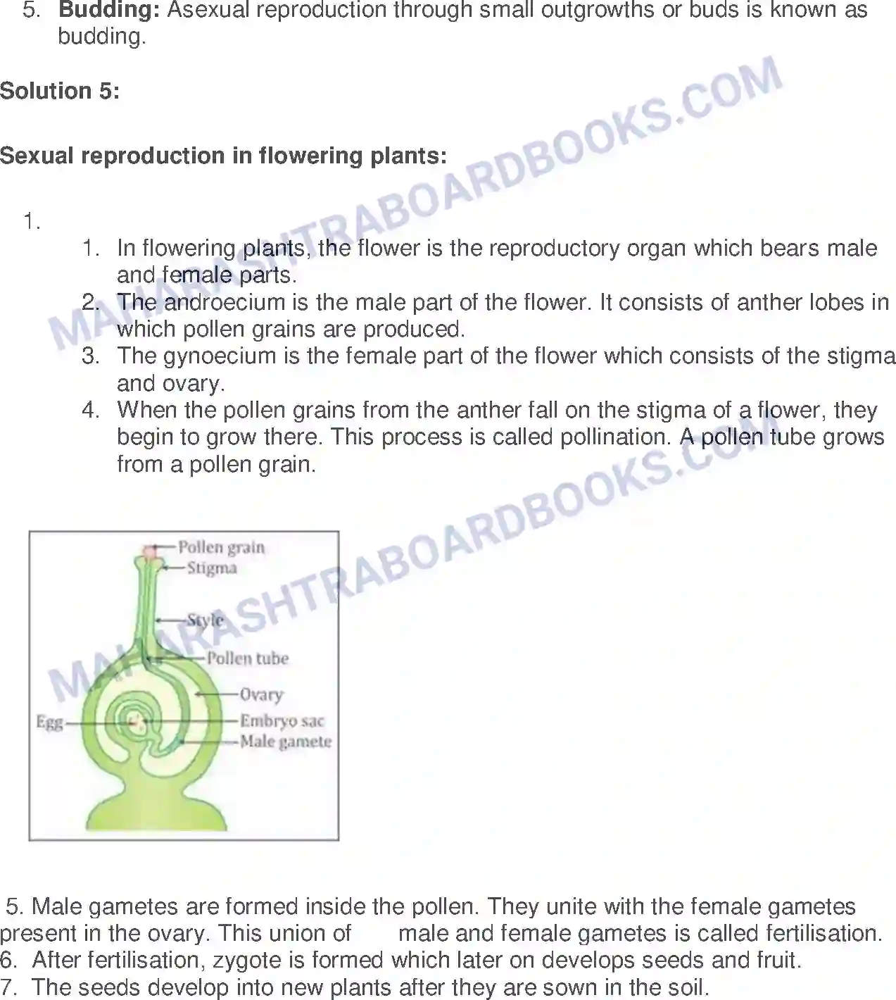 Maharashtra Board Solution Class-7 General Science Reproduction in Living Things Image 2