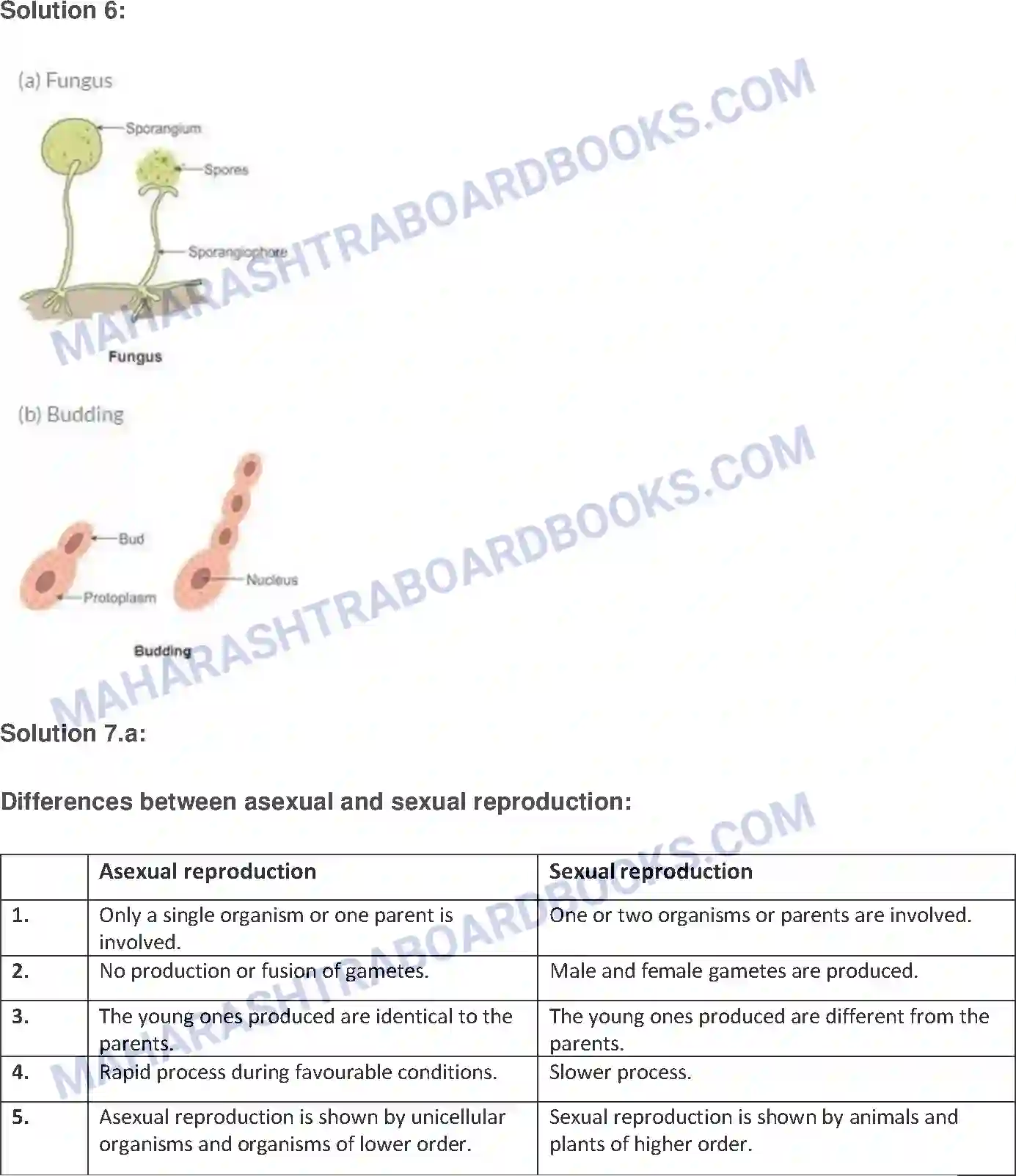 Maharashtra Board Solution Class-7 General Science Reproduction in Living Things Image 3