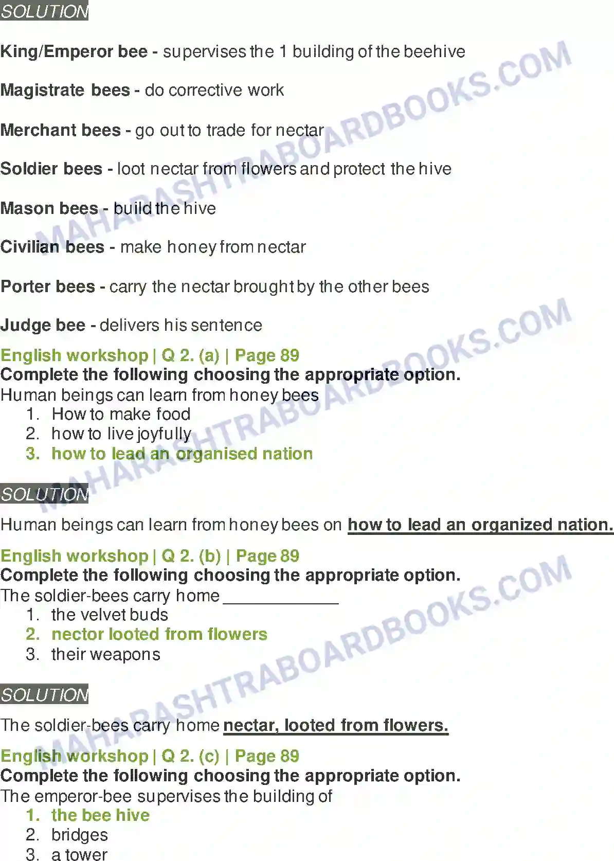 Maharashtra Board Solution Class-8 English The Bees Image 6