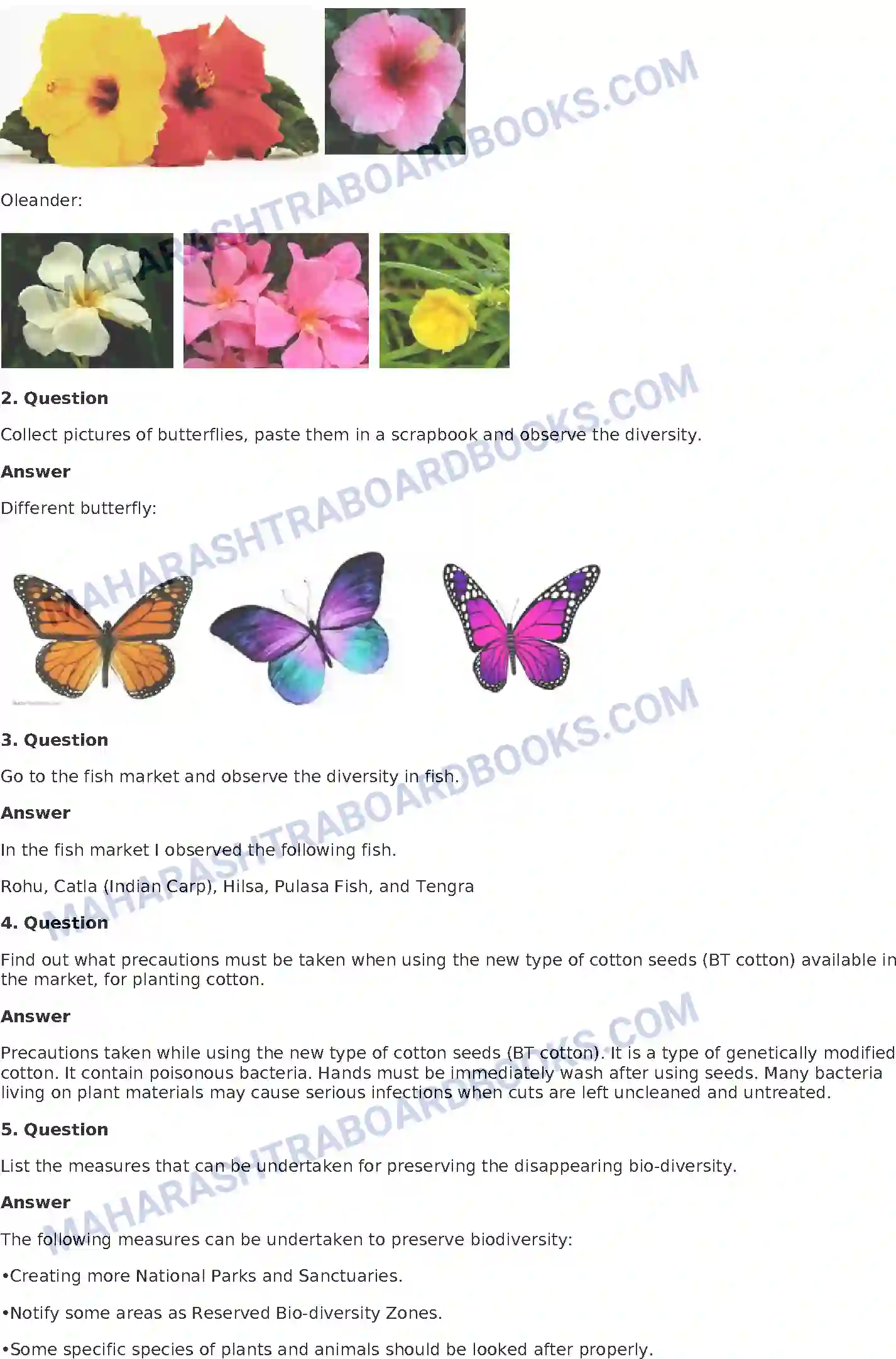 Maharashtra Board Solution Class-8 General+Science Biological Diversity Image 4