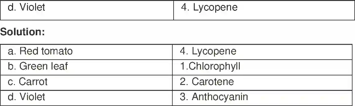 Maharashtra Board Solution Class-8 General+Science Cell and Cell Organelles Image 5