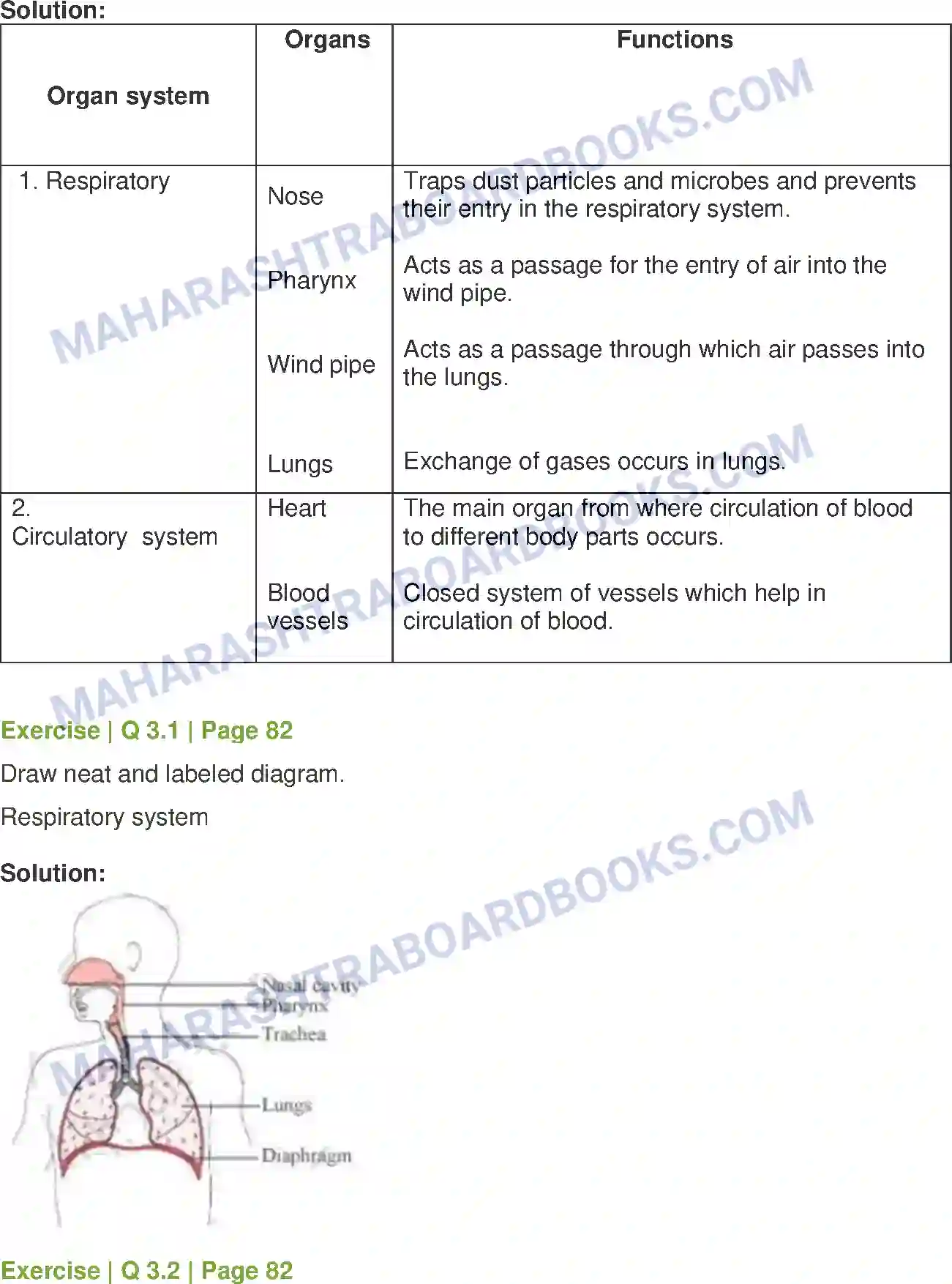 Maharashtra Board Solution Class-8 General+Science Human Body and Organ System Image 2