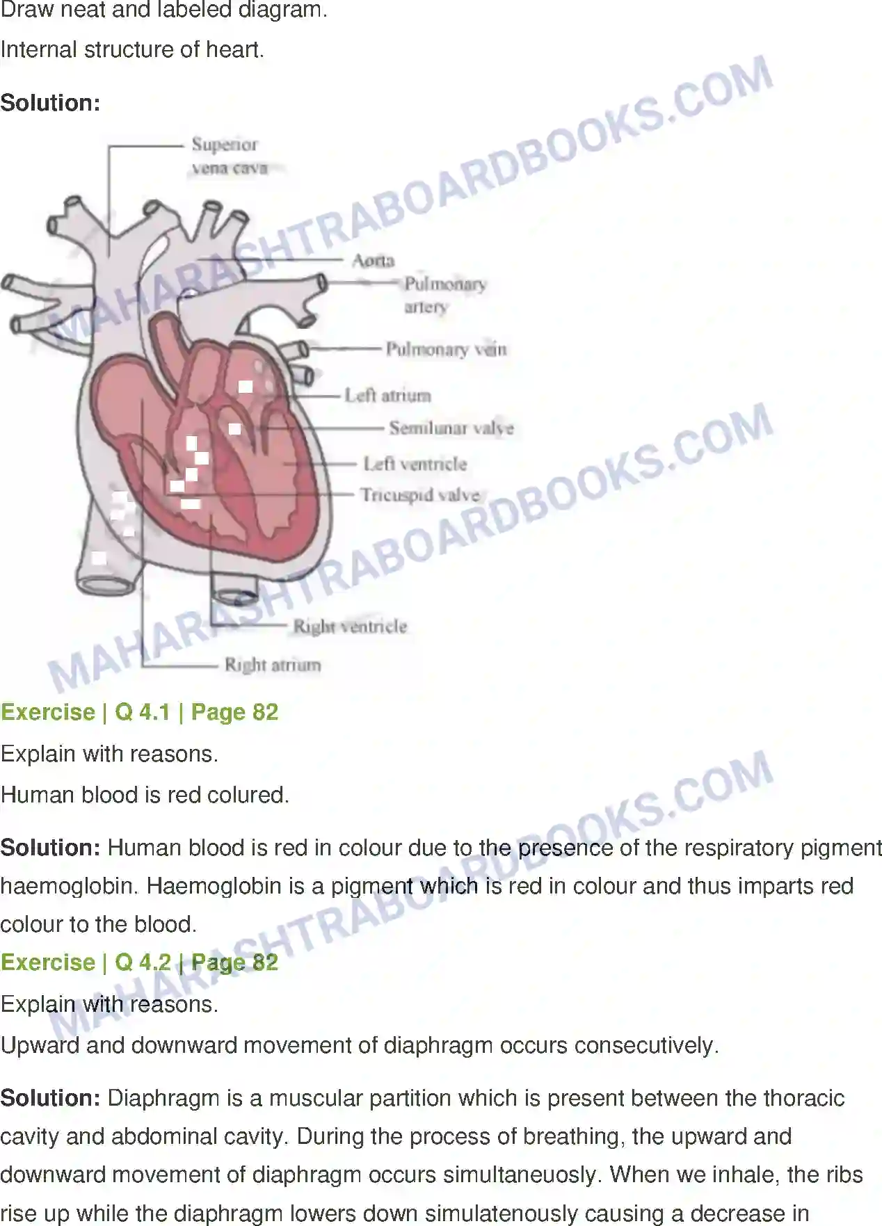 Maharashtra Board Solution Class-8 General+Science Human Body and Organ System Image 3