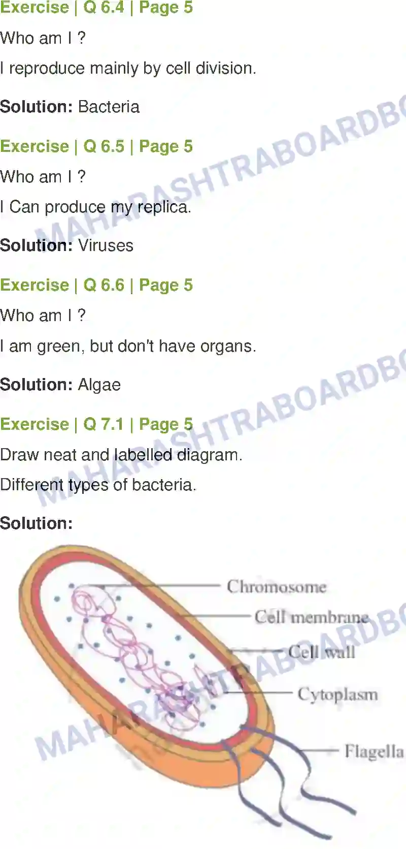 Maharashtra Board Solution Class-8 General+Science Living World and Classification of Microbes Image 6