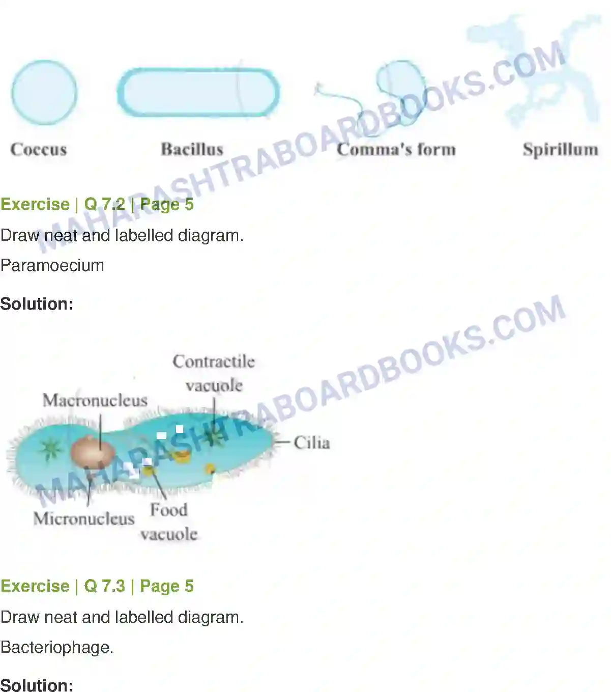 Maharashtra Board Solution Class-8 General+Science Living World and Classification of Microbes Image 7