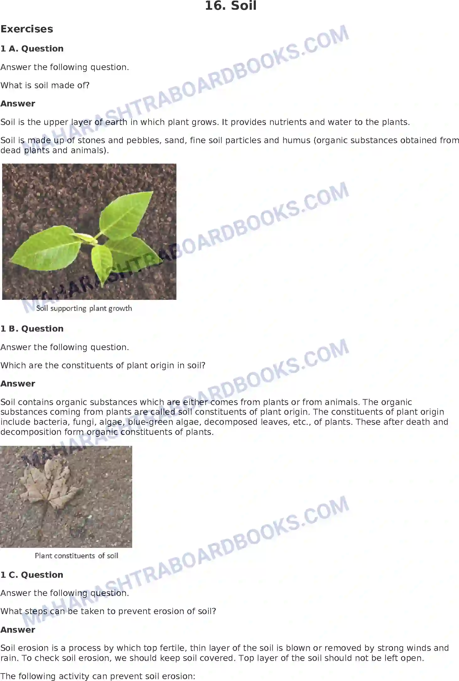 Maharashtra Board Solution Class-8 General+Science Soil Image 1