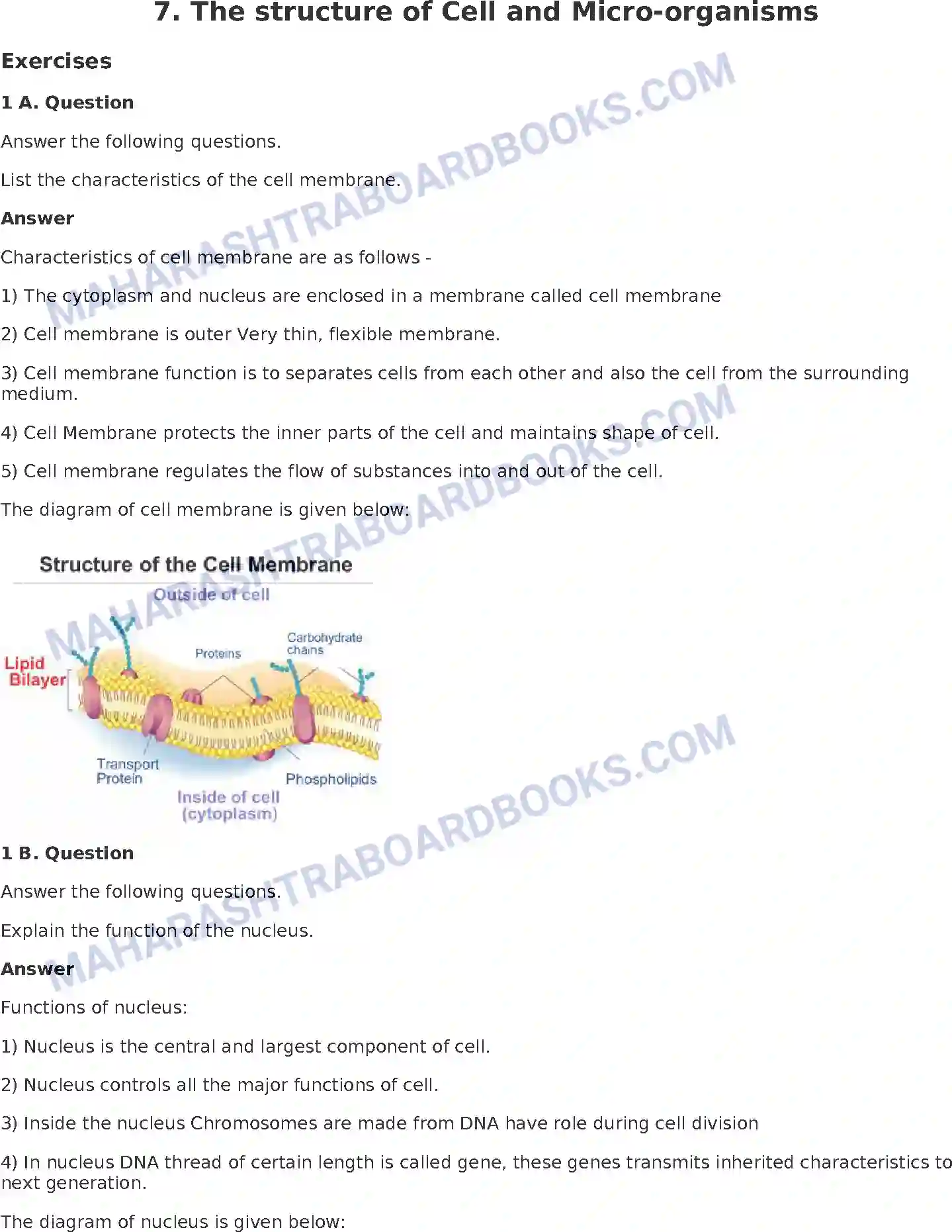 Maharashtra Board Solution Class-8 General+Science The Structure of Cell and Micro-organisms Image 1