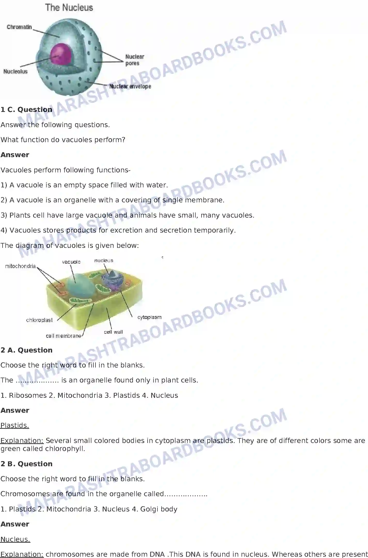 Maharashtra Board Solution Class-8 General+Science The Structure of Cell and Micro-organisms Image 2