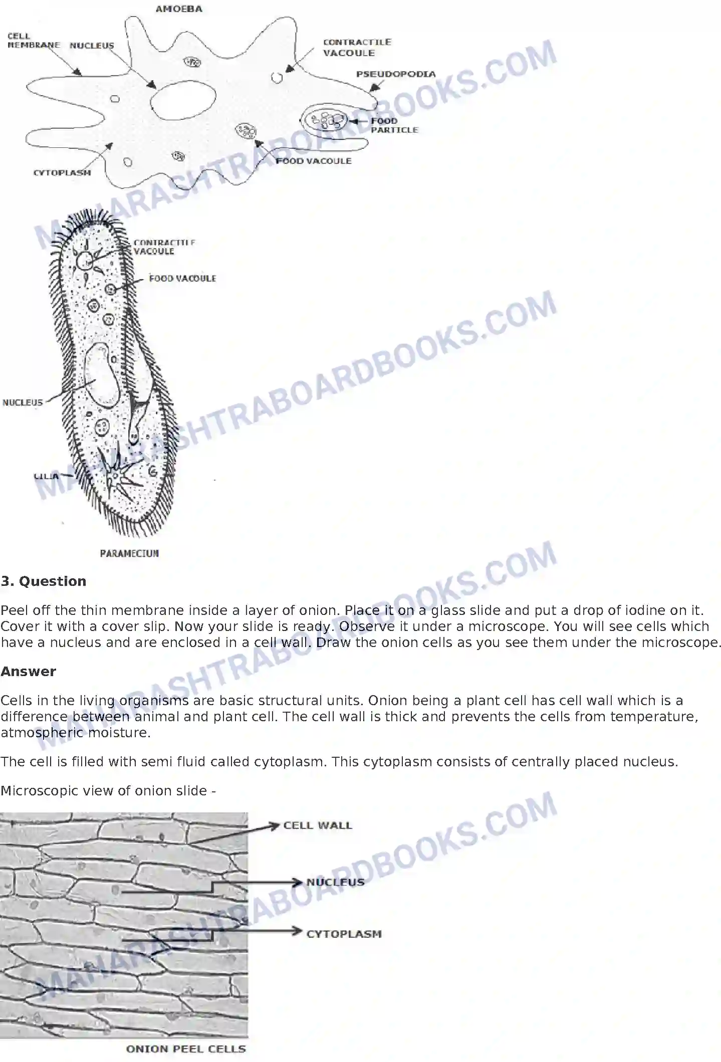 Maharashtra Board Solution Class-8 General+Science The Structure of Cell and Micro-organisms Image 6