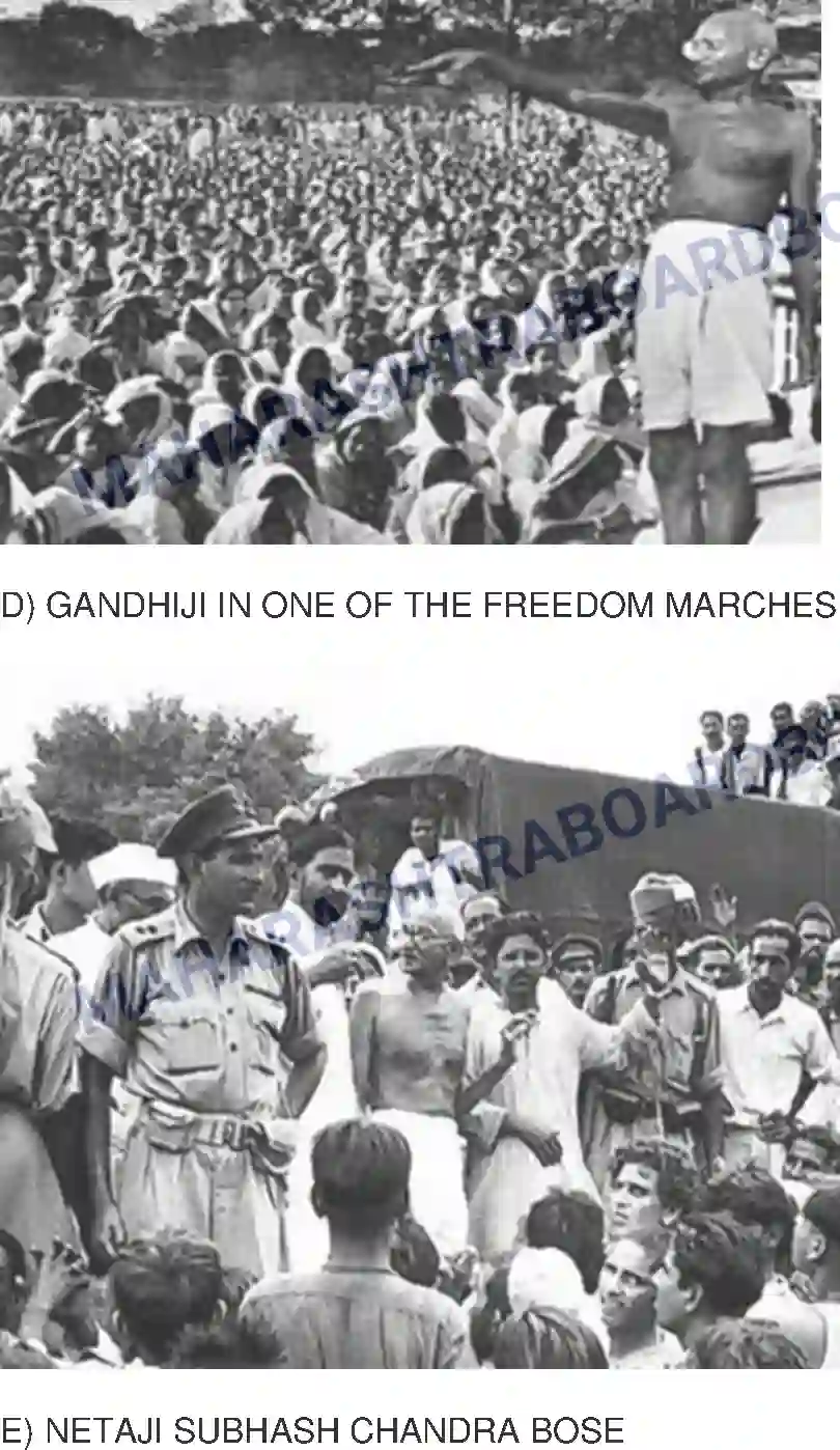 Maharashtra Board Solution Class-8 History+-+English+Medium Sources of History Image 7
