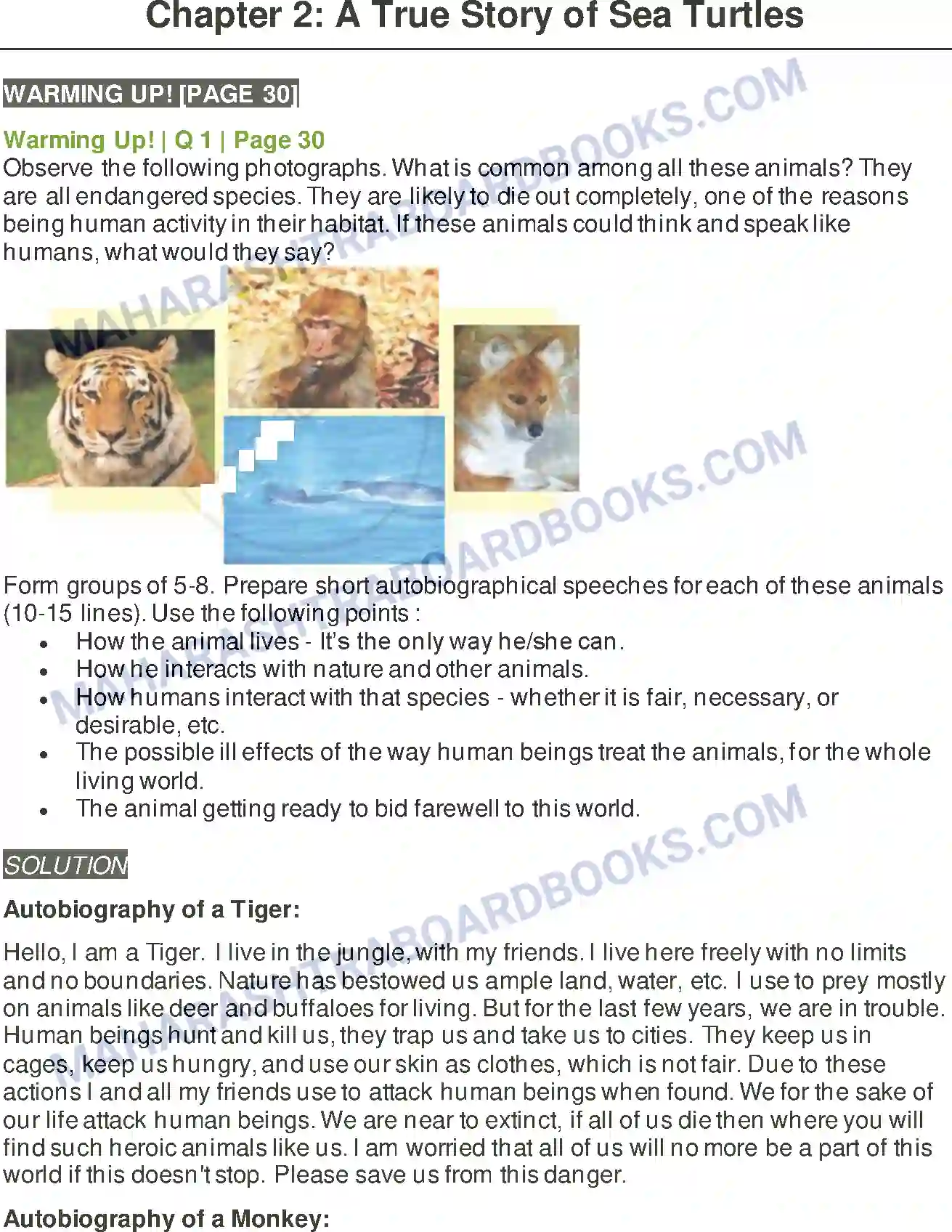 Maharashtra Board Solution class-9 Kumarbharati+-+English+Medium A True Story of Sea Turtles Image 1