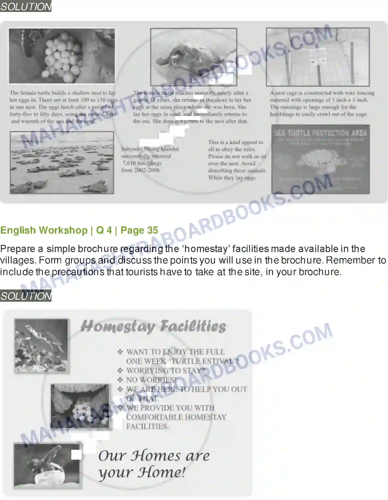 Maharashtra Board Solution class-9 Kumarbharati+-+English+Medium A True Story of Sea Turtles Image 6