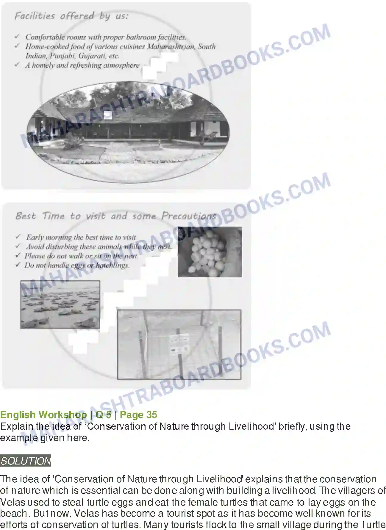 Maharashtra Board Solution class-9 Kumarbharati+-+English+Medium A True Story of Sea Turtles Image 7