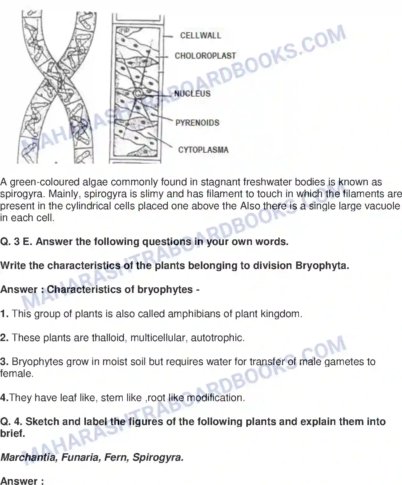 Maharashtra Board Solution class-9 Science+&+Technology+-+English+Medium Classification of Plants Image 6